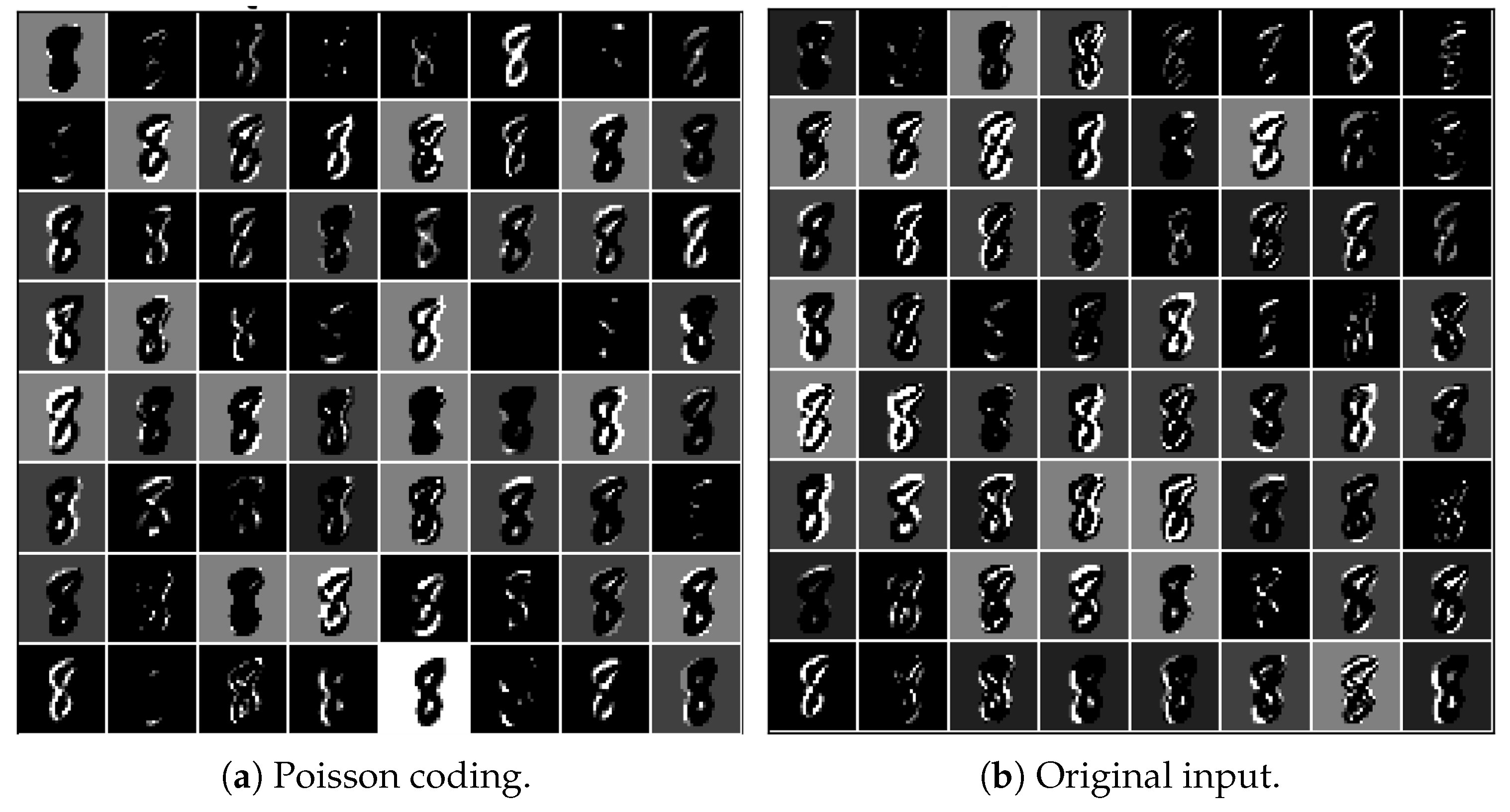 Biomimetics 09 00646 g005