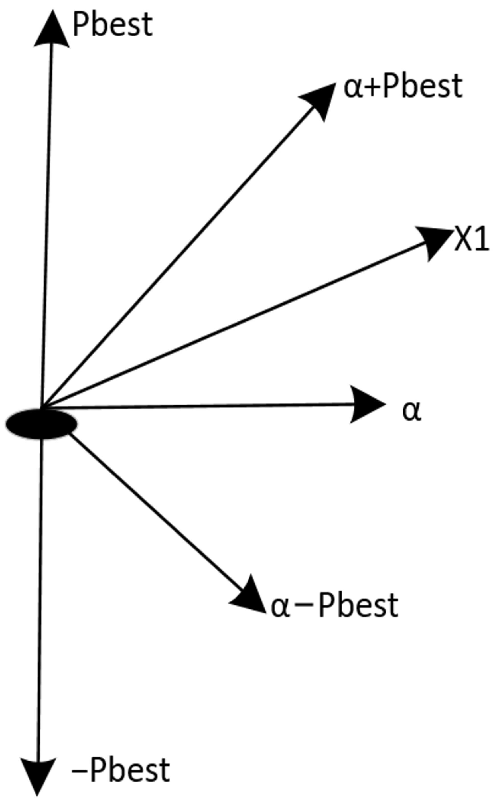 Biomimetics 09 00648 g002