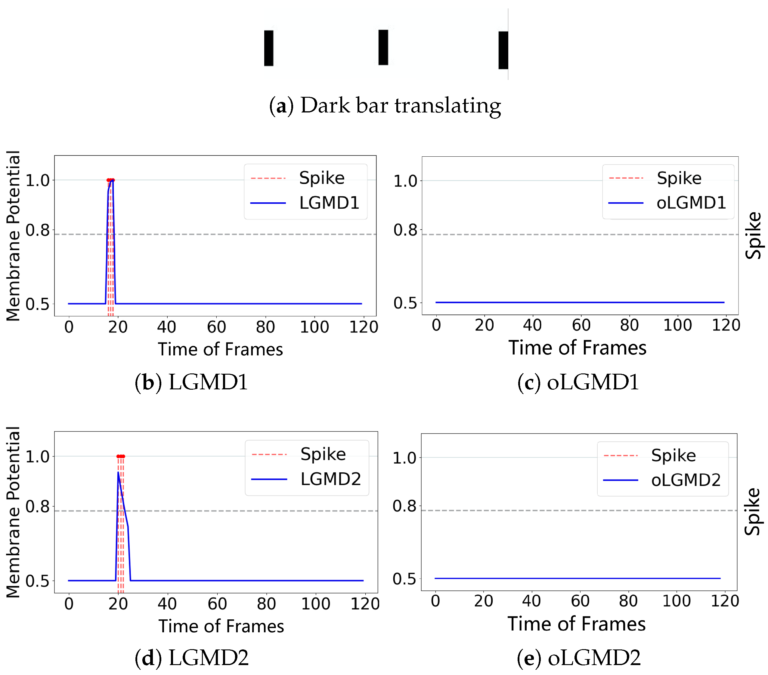 Biomimetics 09 00650 g006