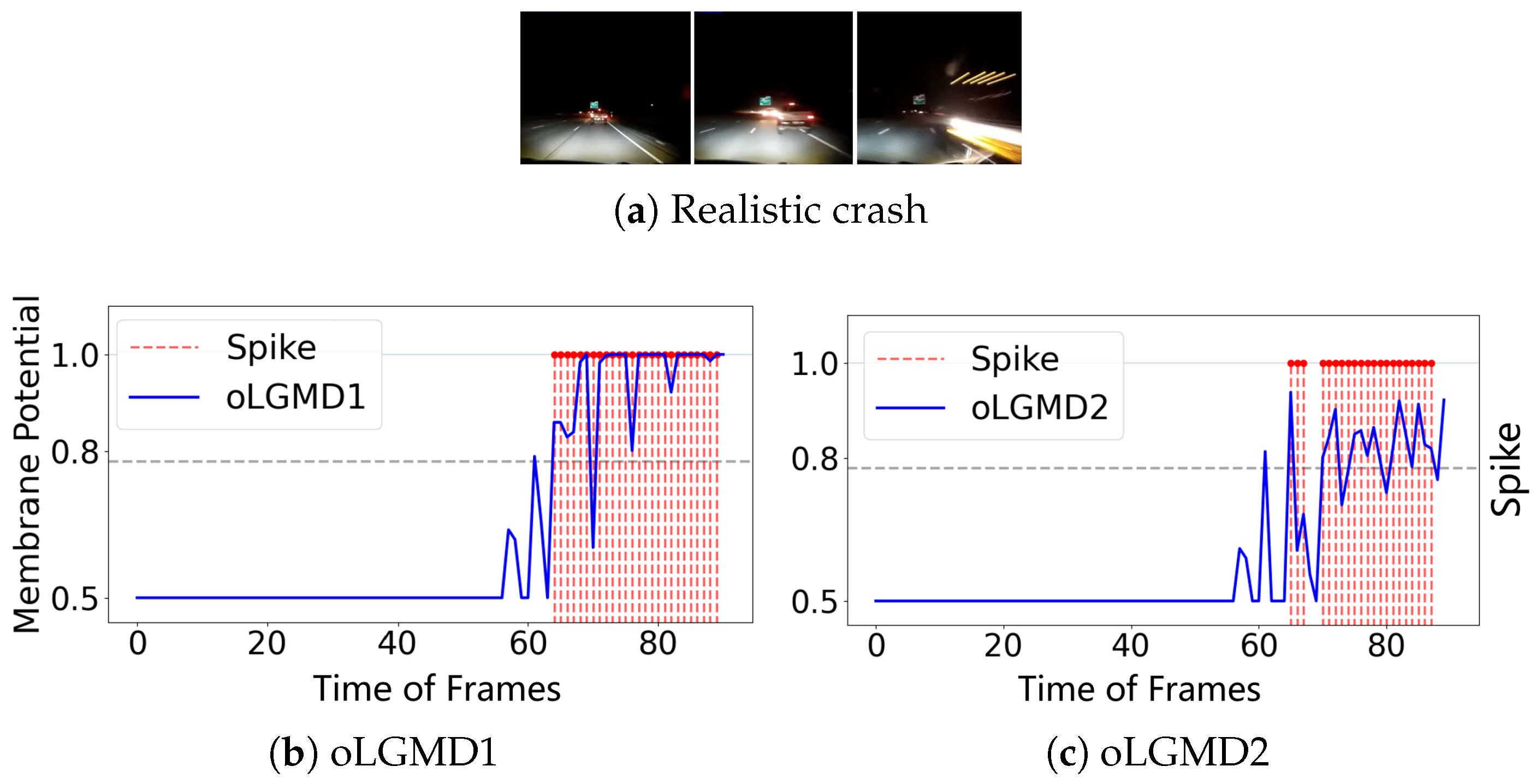 Biomimetics 09 00650 g010