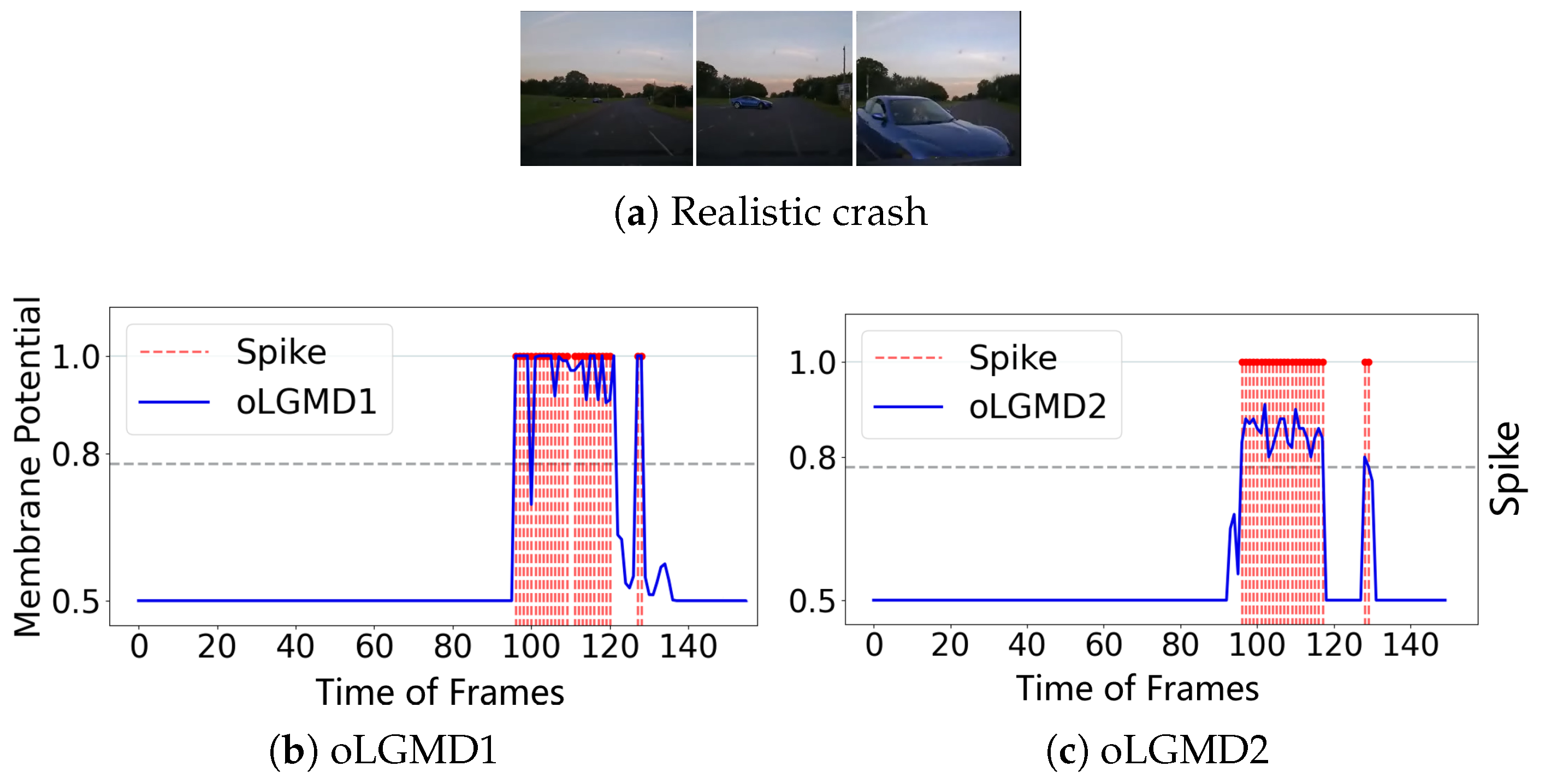 Biomimetics 09 00650 g011