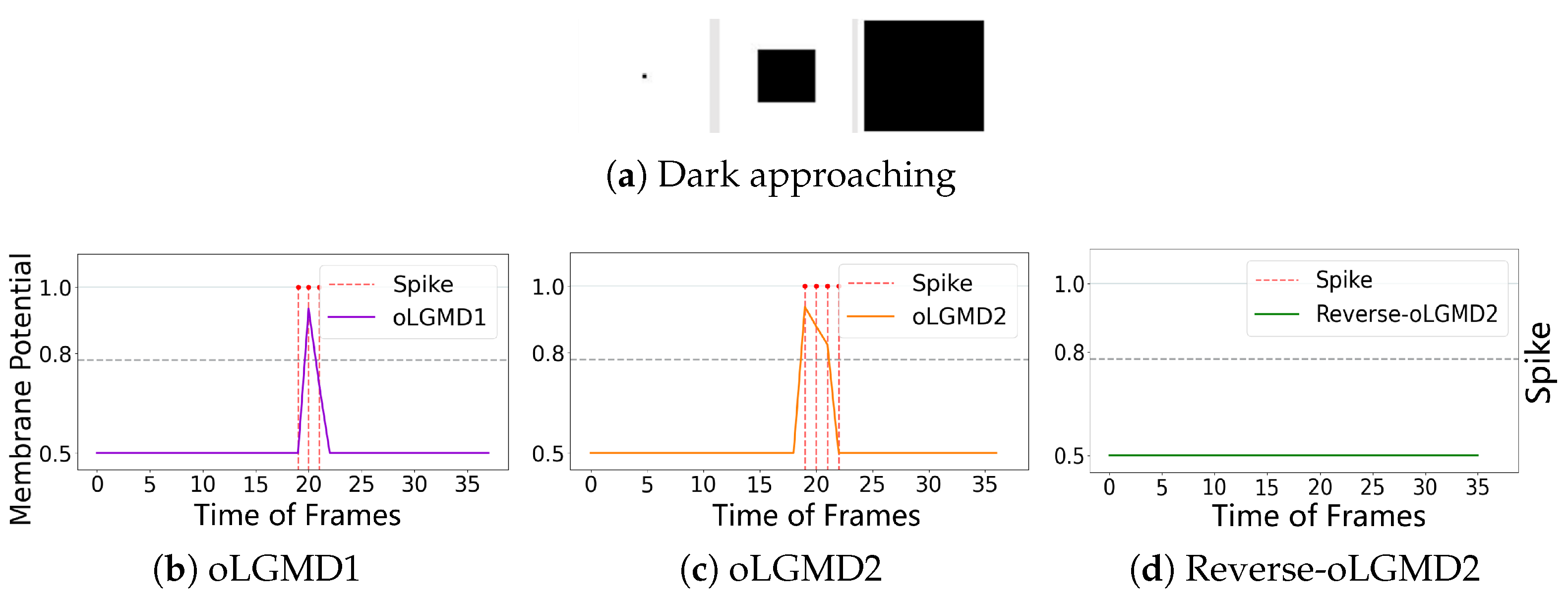 Biomimetics 09 00650 g013