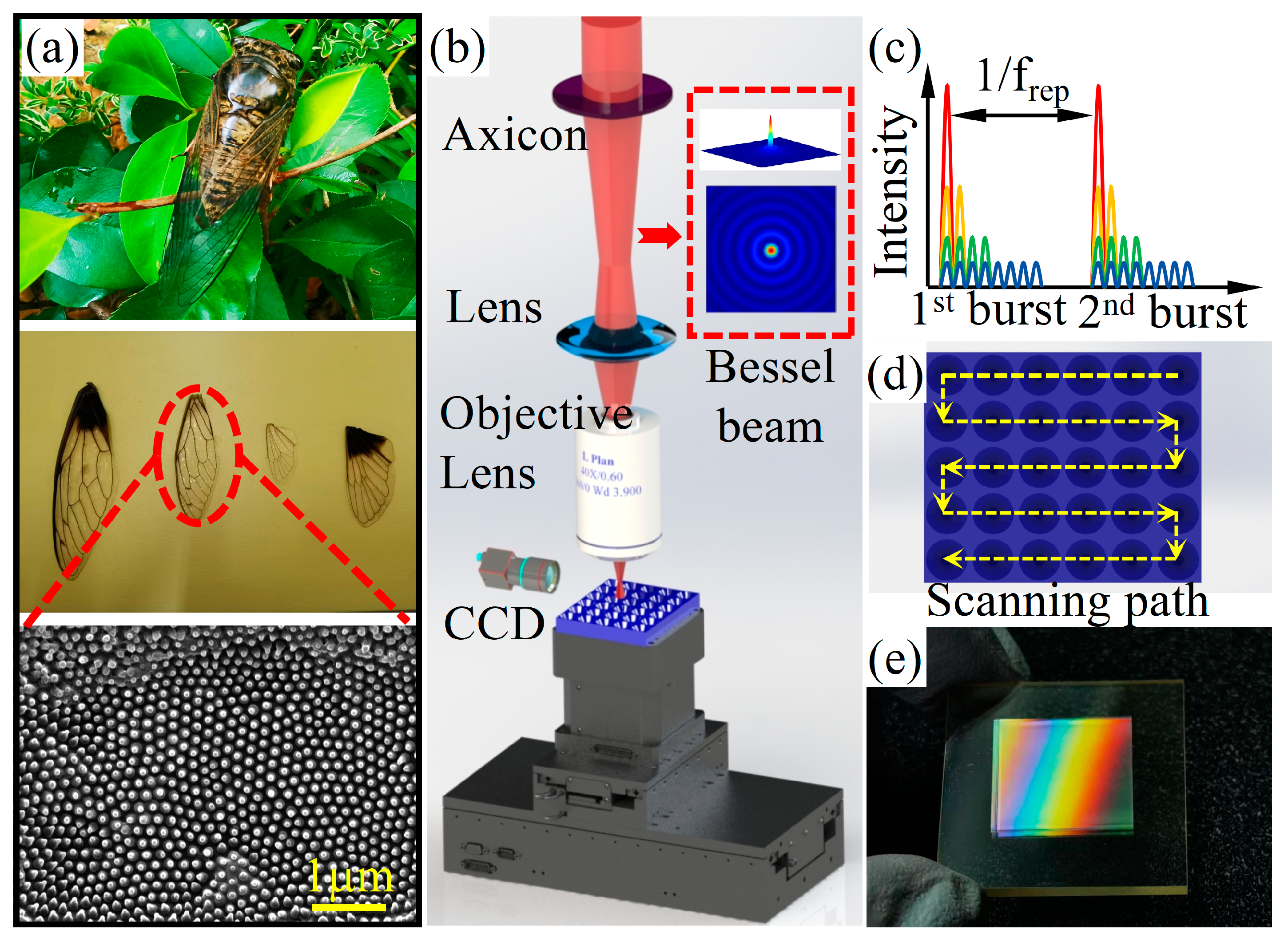 Biomimetics 09 00655 g001