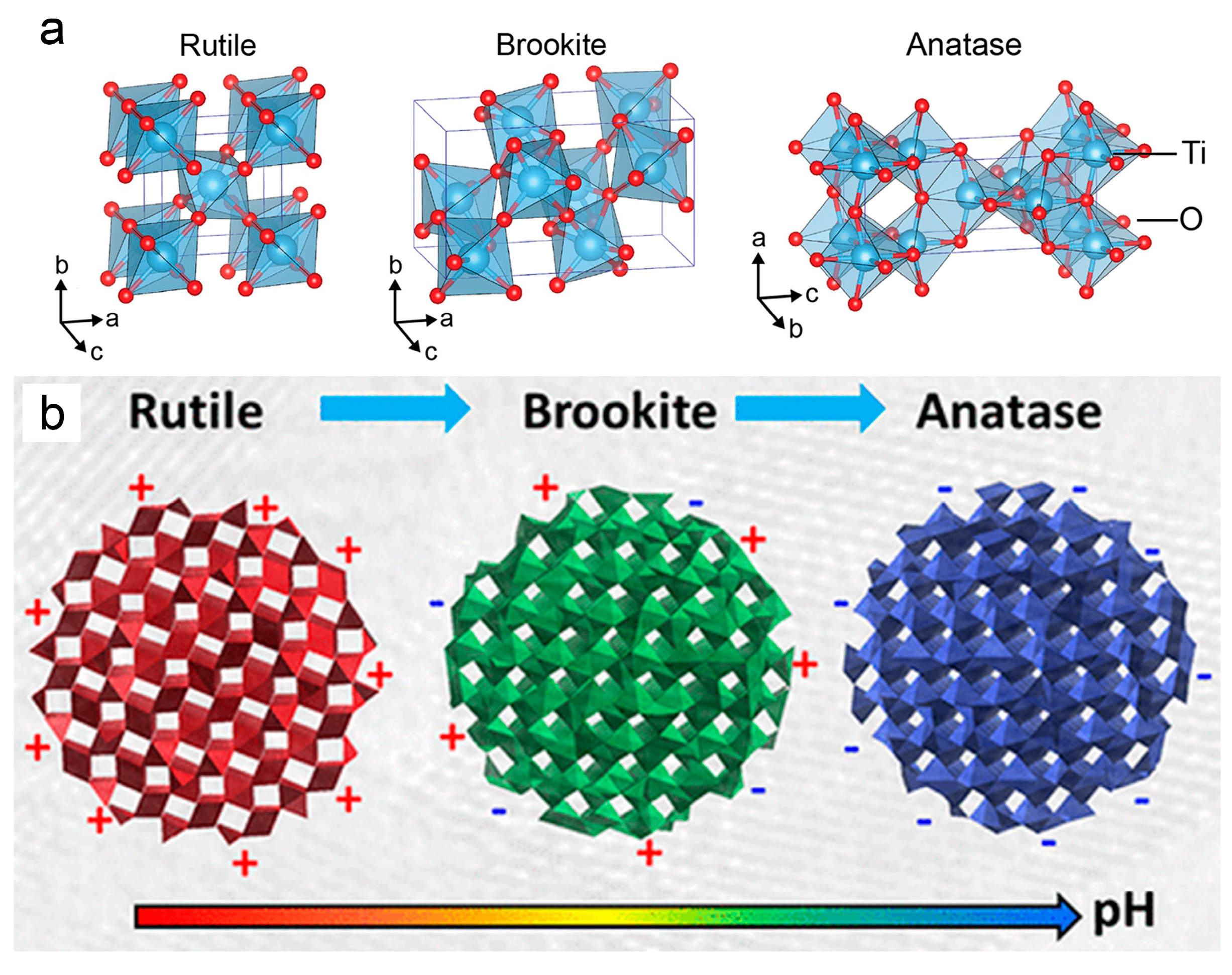 Biomimetics 09 00656 g006