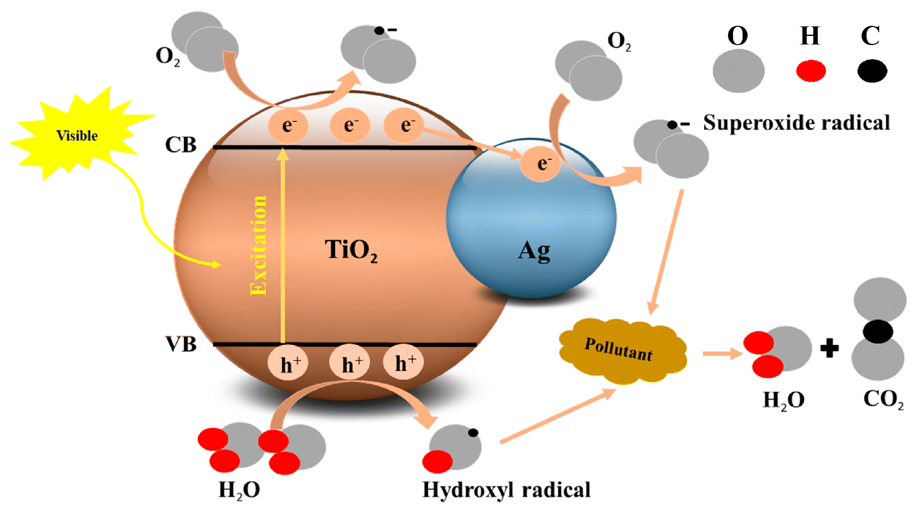 Biomimetics 09 00656 g008