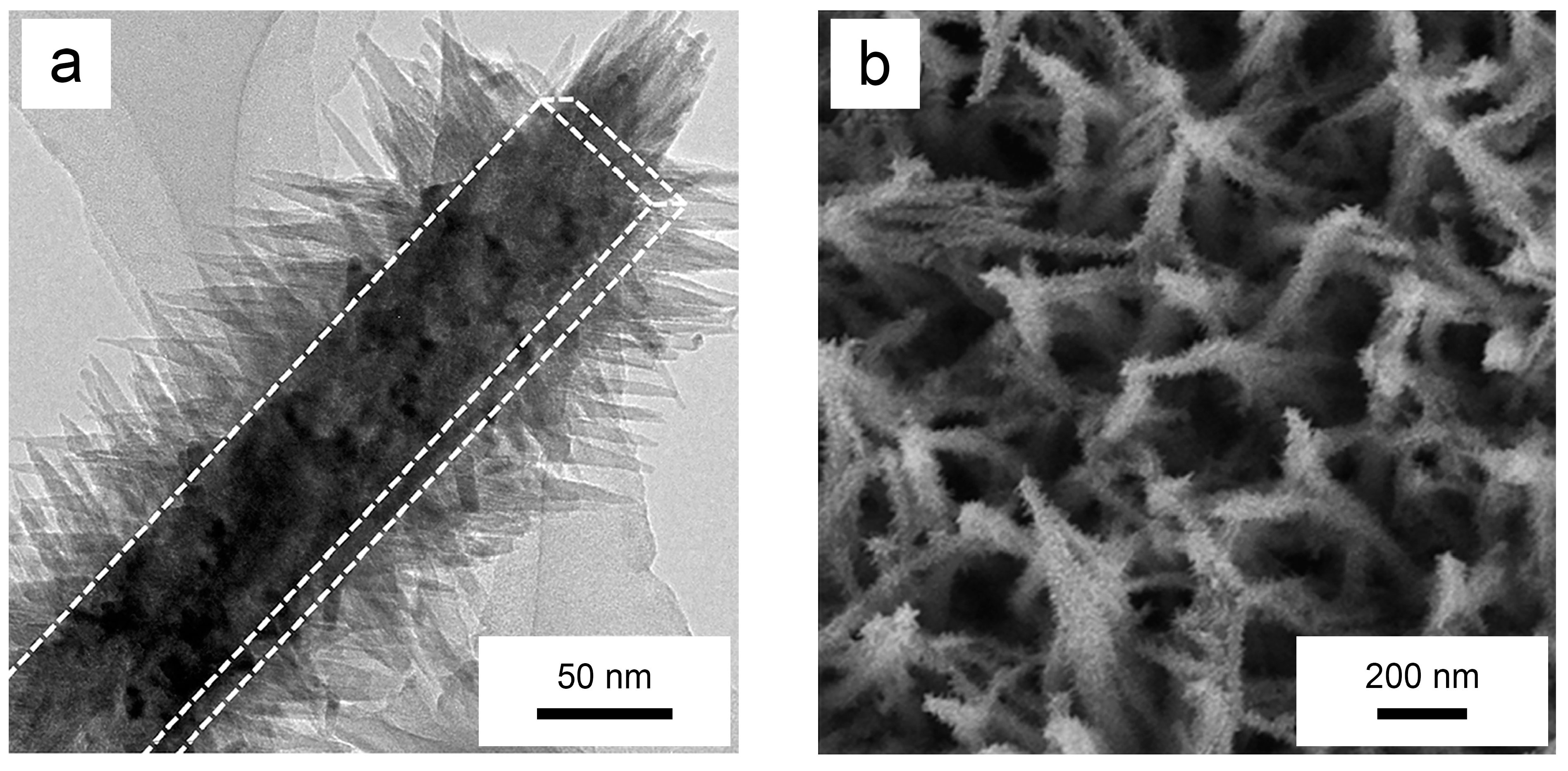 Biomimetics 09 00656 g011