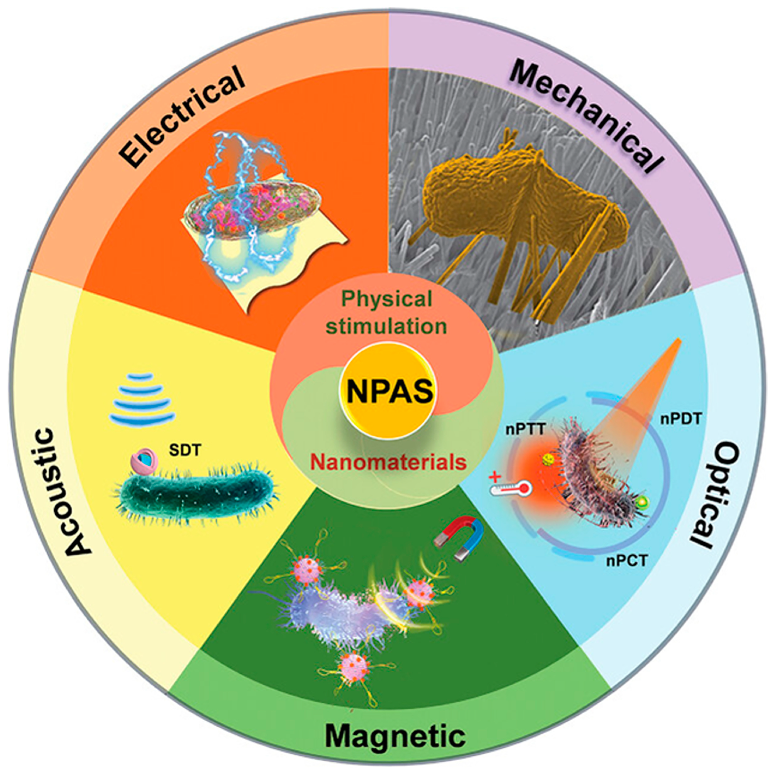 Biomimetics 09 00656 g012