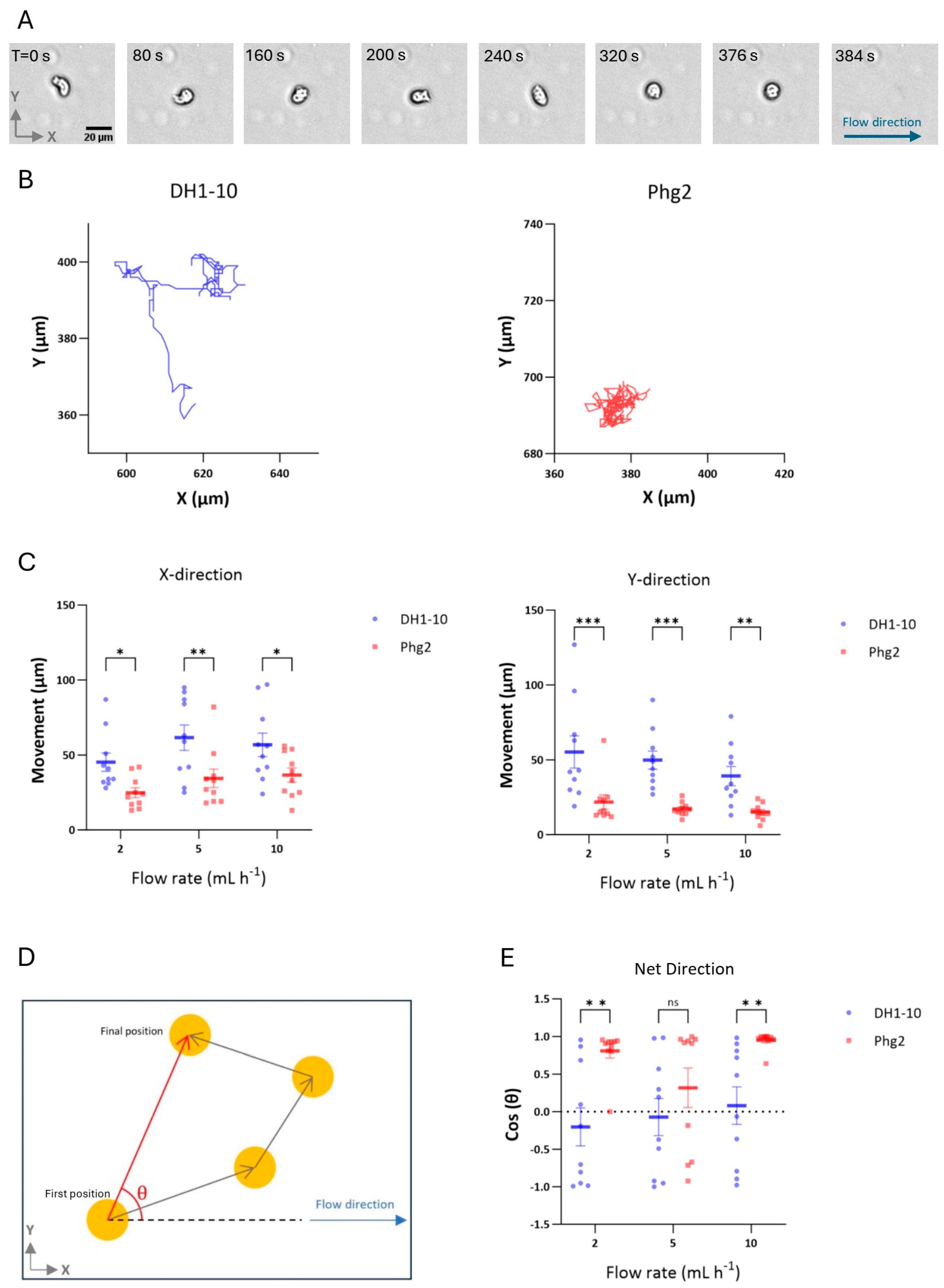 Biomimetics 09 00657 g002