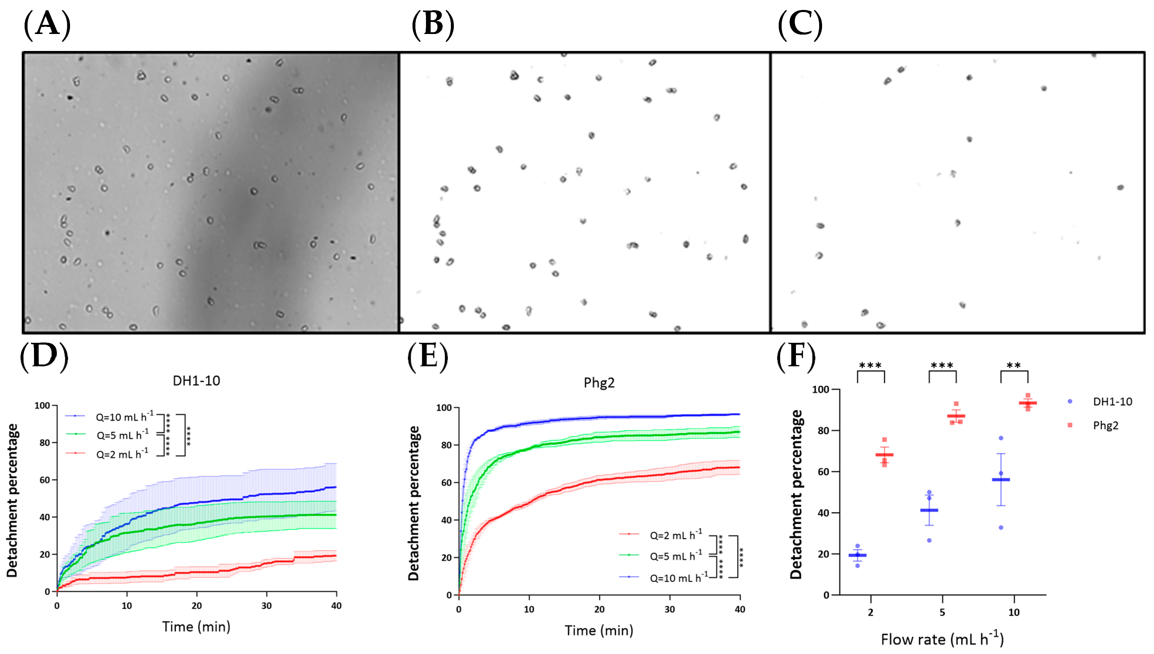 Biomimetics 09 00657 g003