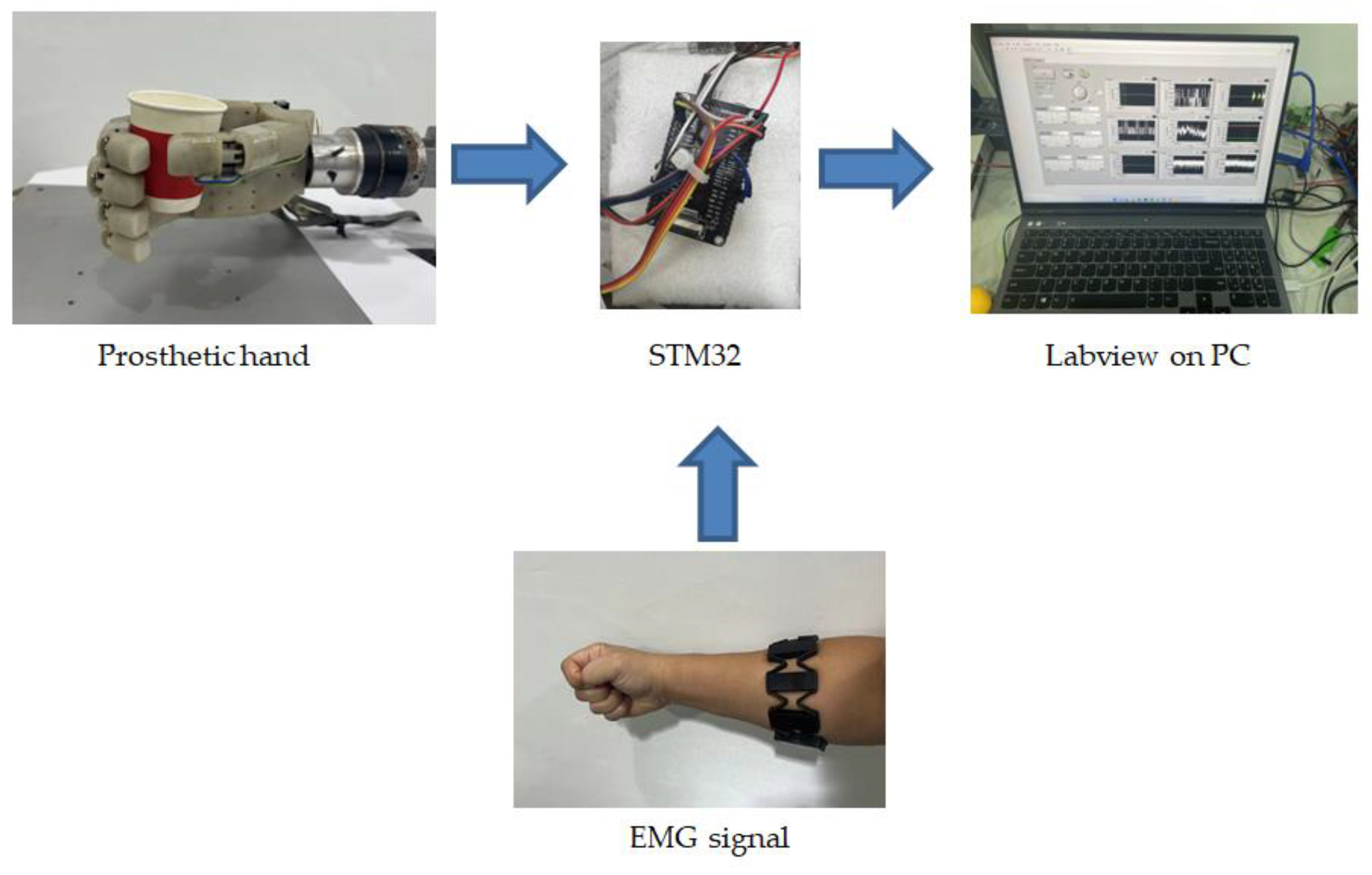 Biomimetics 09 00658 g007