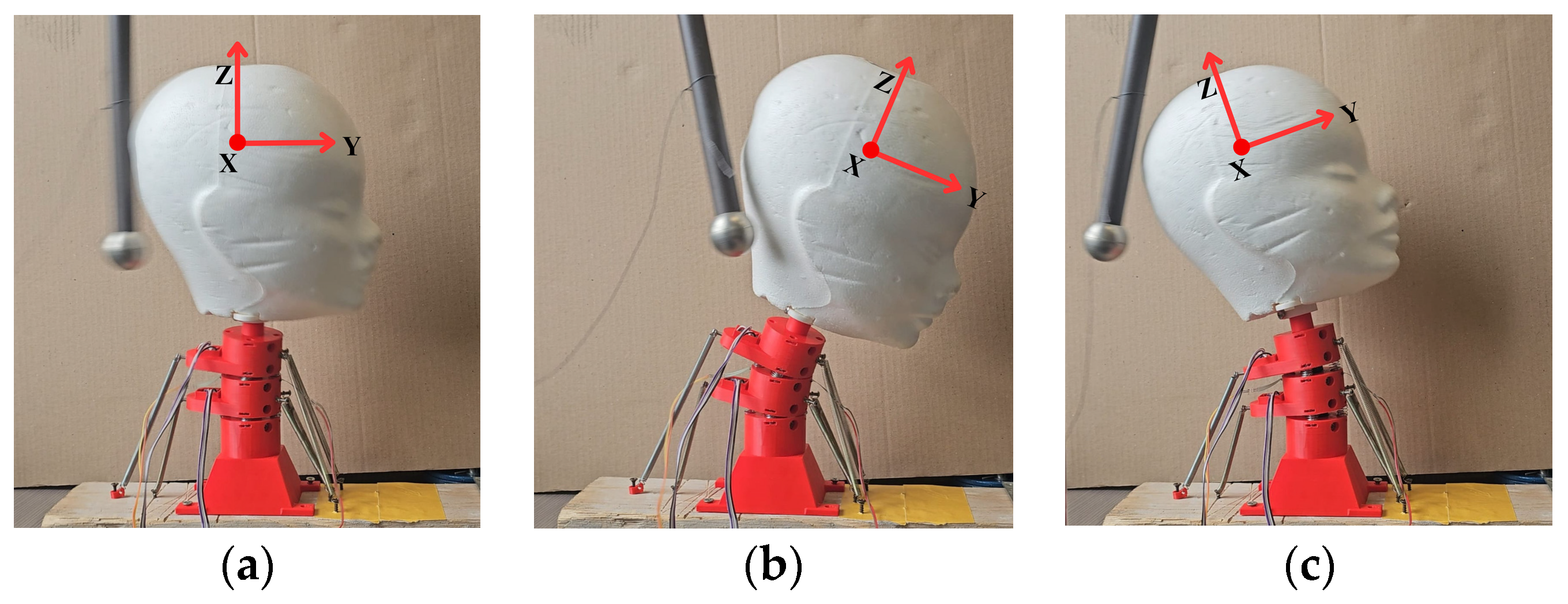 Biomimetics 09 00661 g009