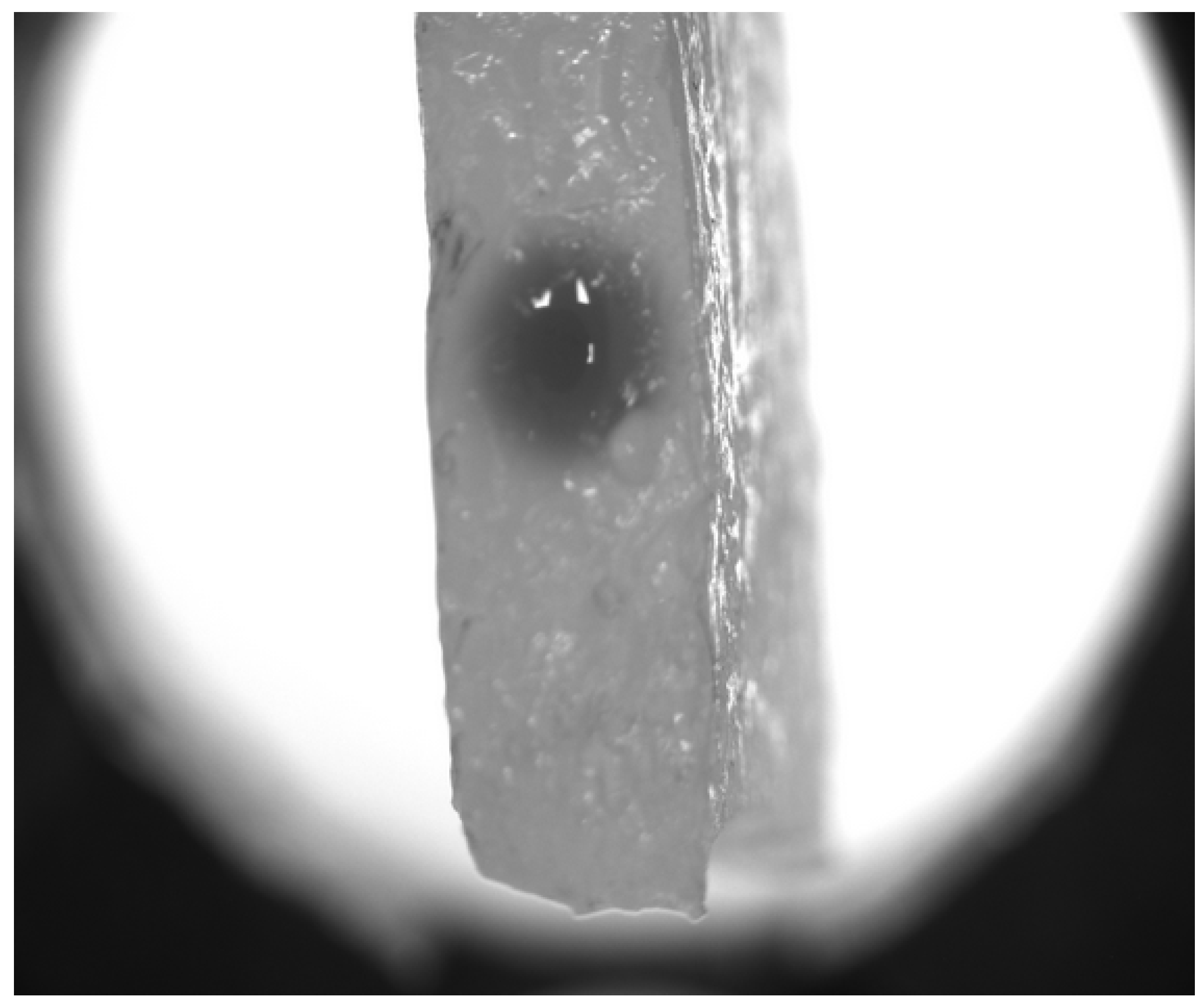 Biomimetics 09 00667 g001