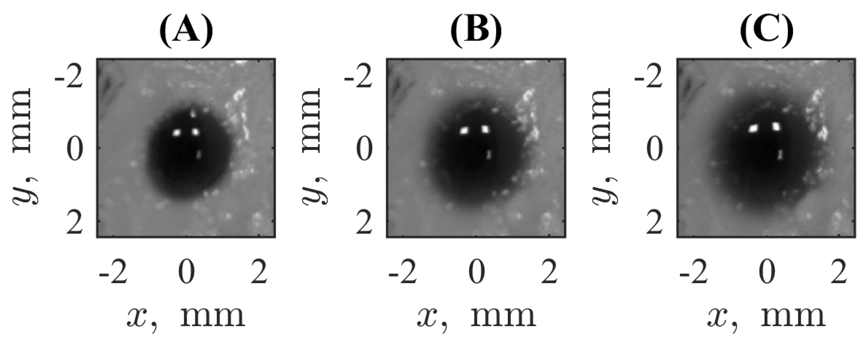 Biomimetics 09 00667 g002
