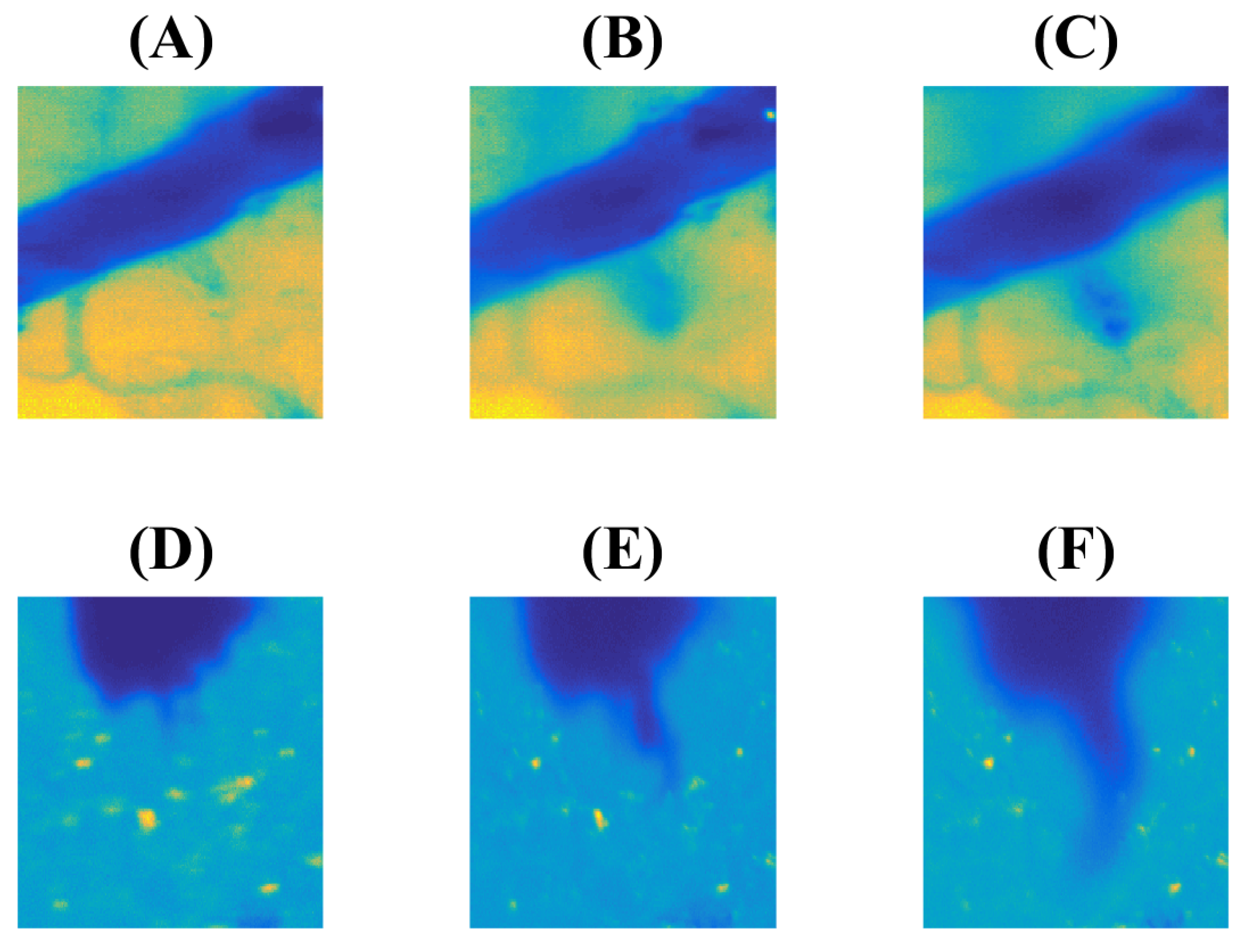 Biomimetics 09 00667 g006
