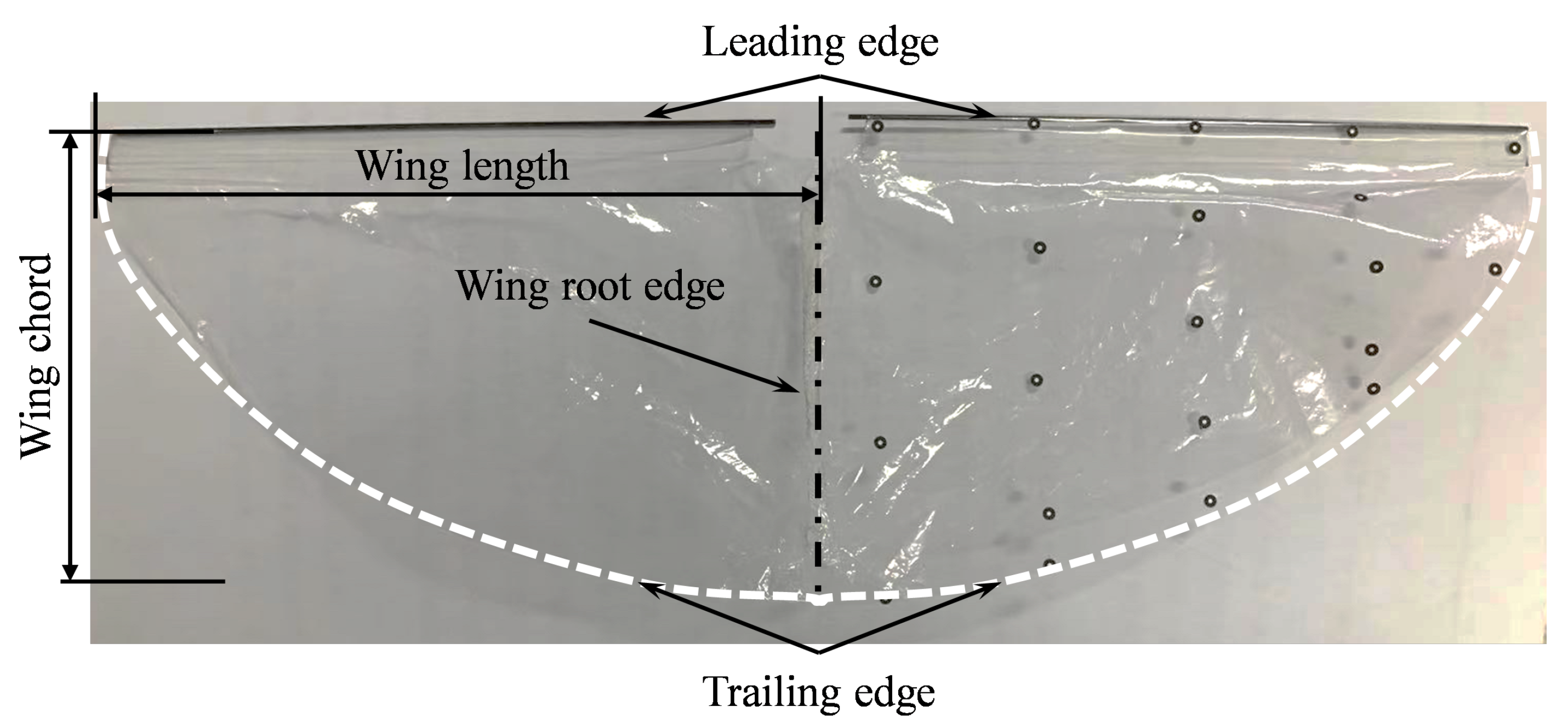 Biomimetics 09 00671 g003