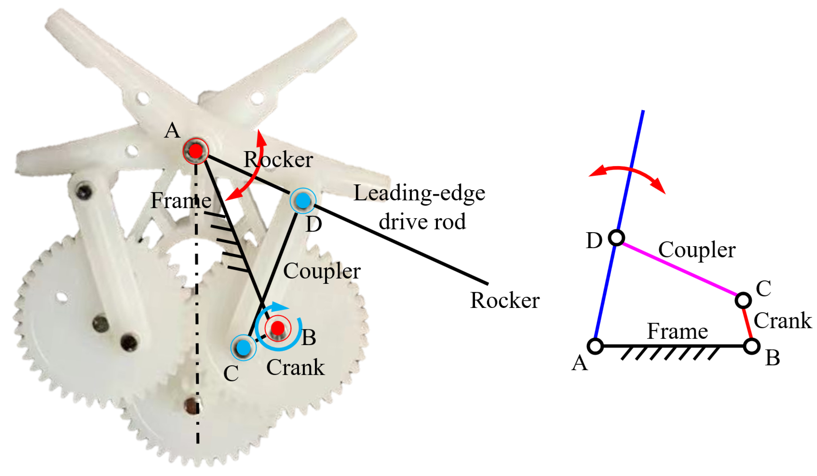 Biomimetics 09 00671 g004