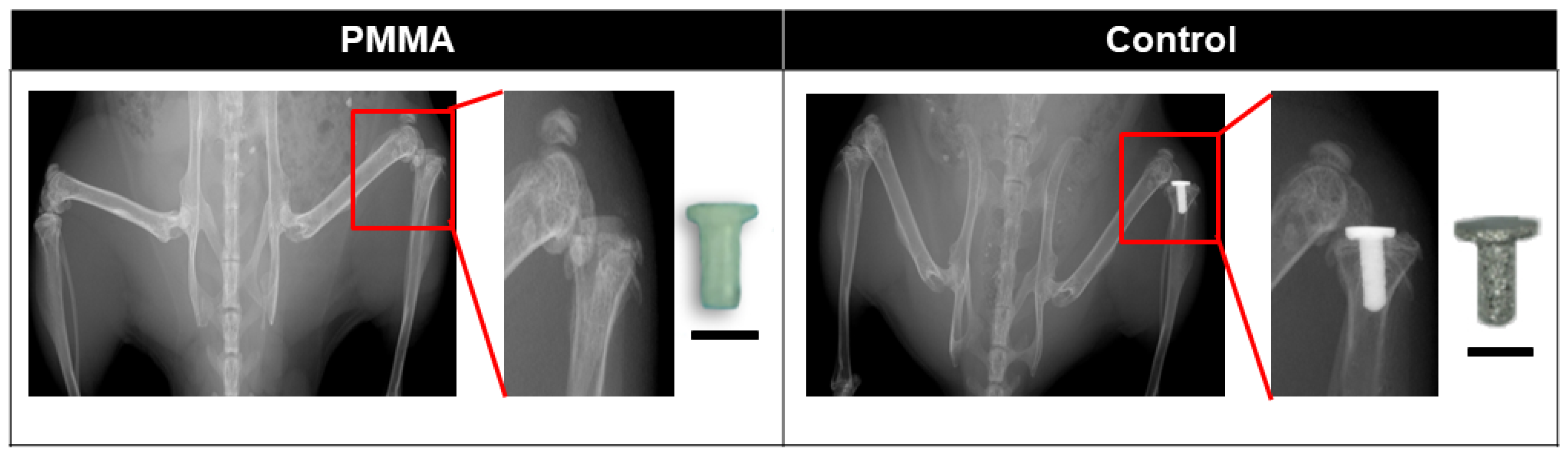 Biomimetics 09 00673 g001