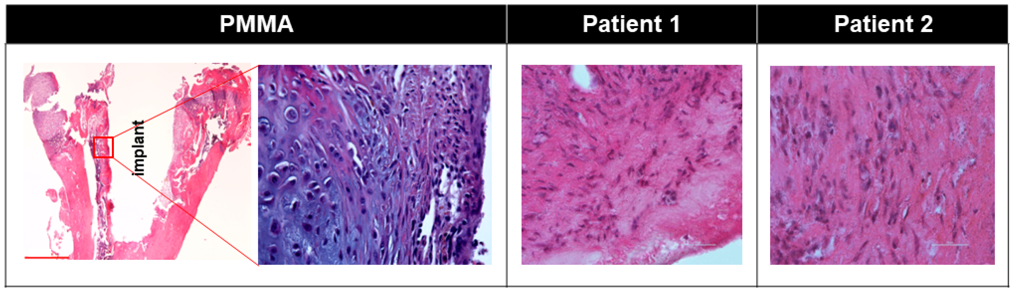 Biomimetics 09 00673 g002