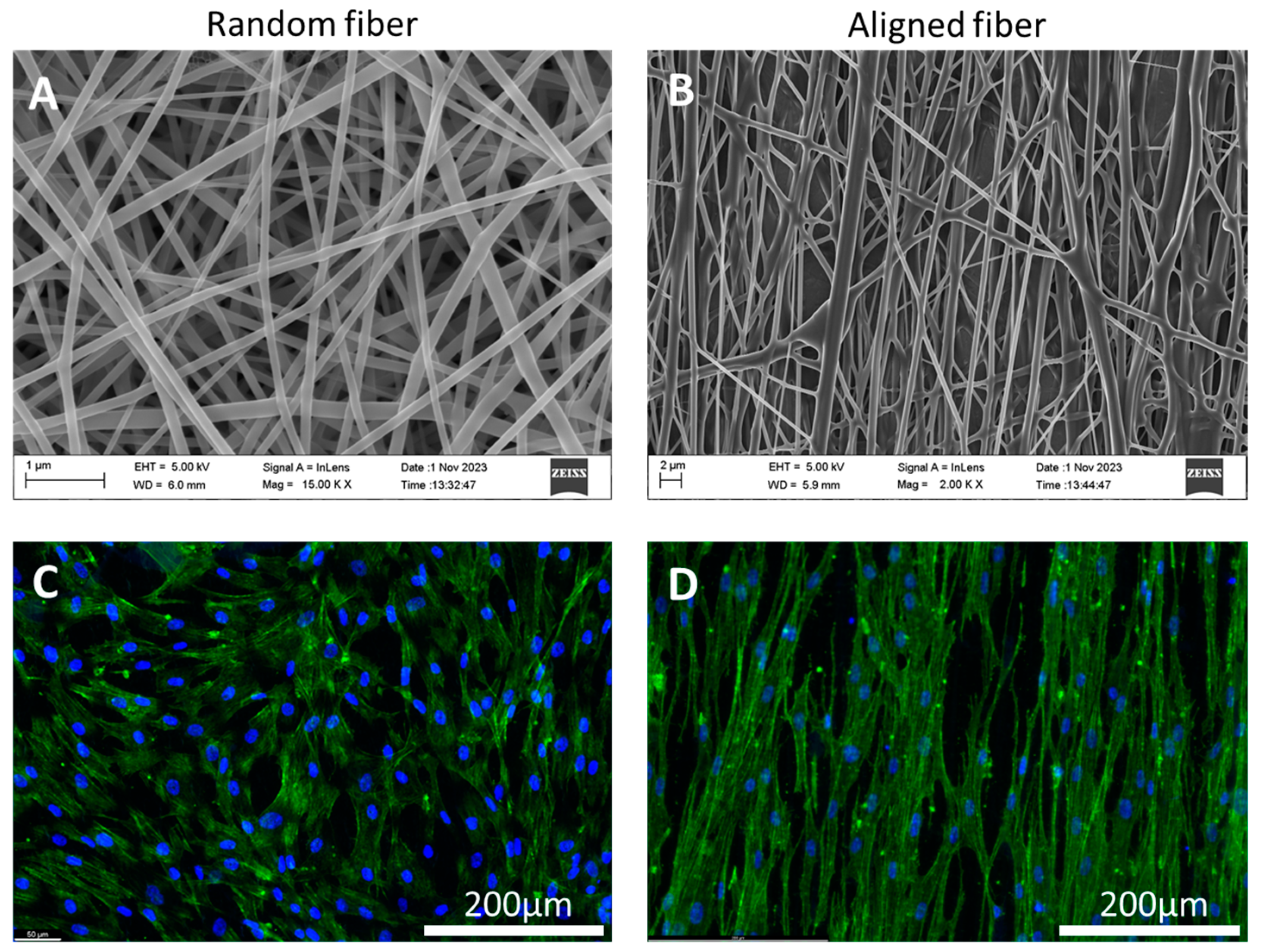 Biomimetics 09 00676 g006