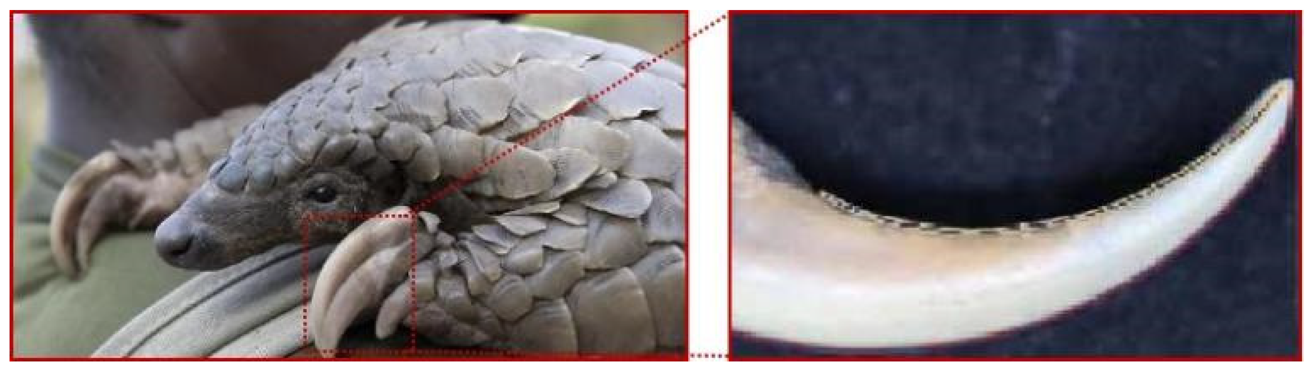 Biomimetics 09 00686 g004