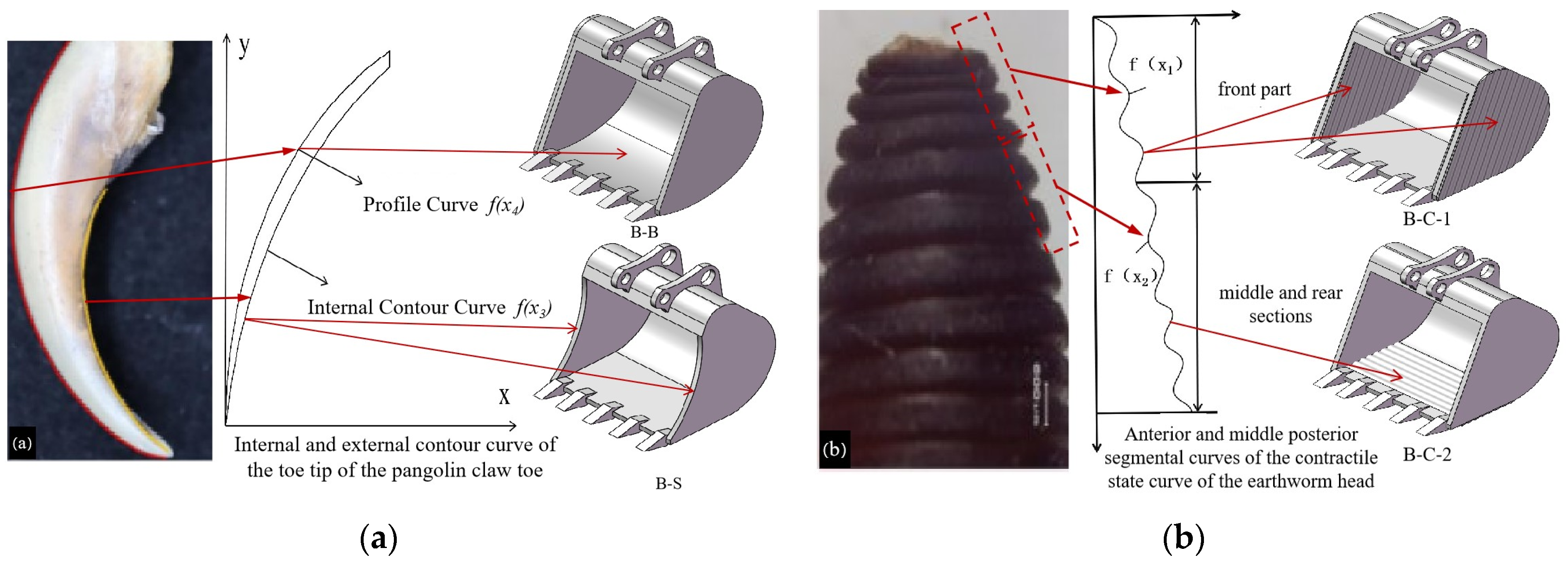 Biomimetics 09 00686 g005