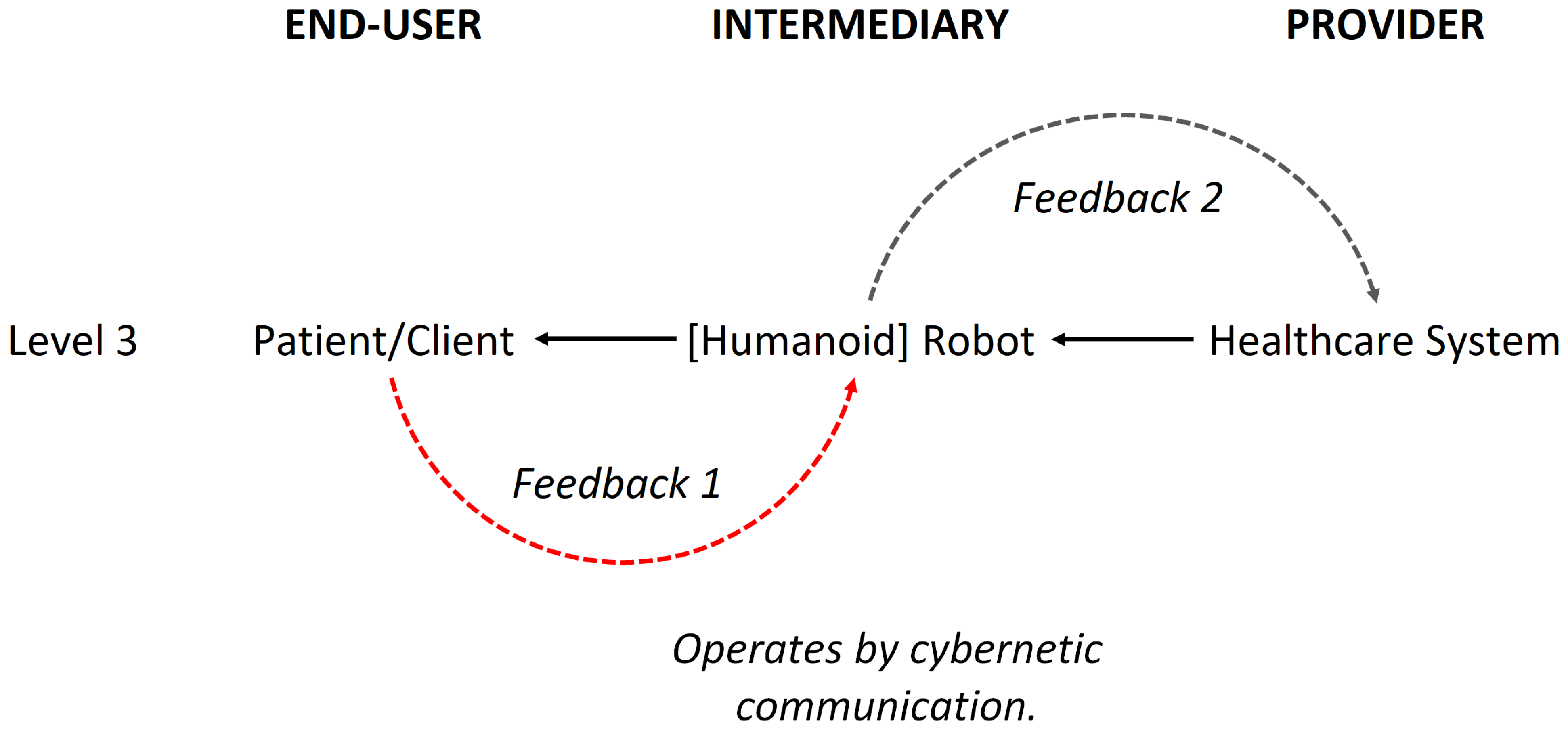 Biomimetics 09 00687 g001