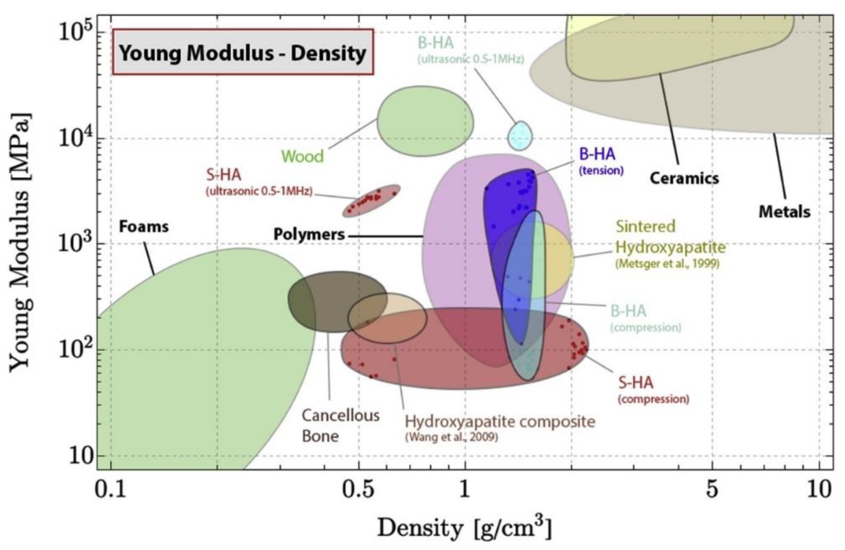 Advances in Bioceramics for Bone Regeneration: A Narrative Review