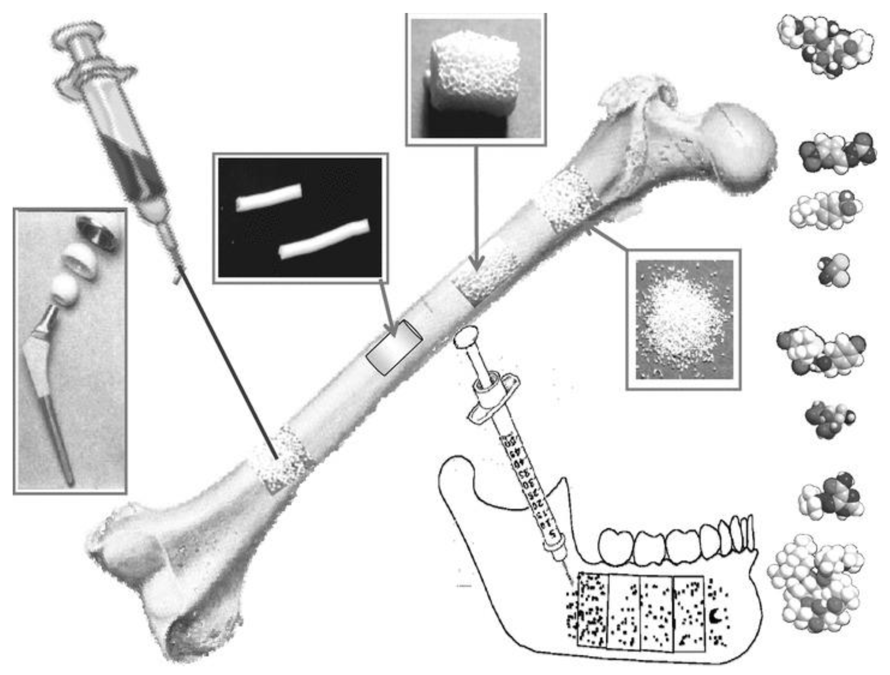 Biomimetics 09 00690 g002