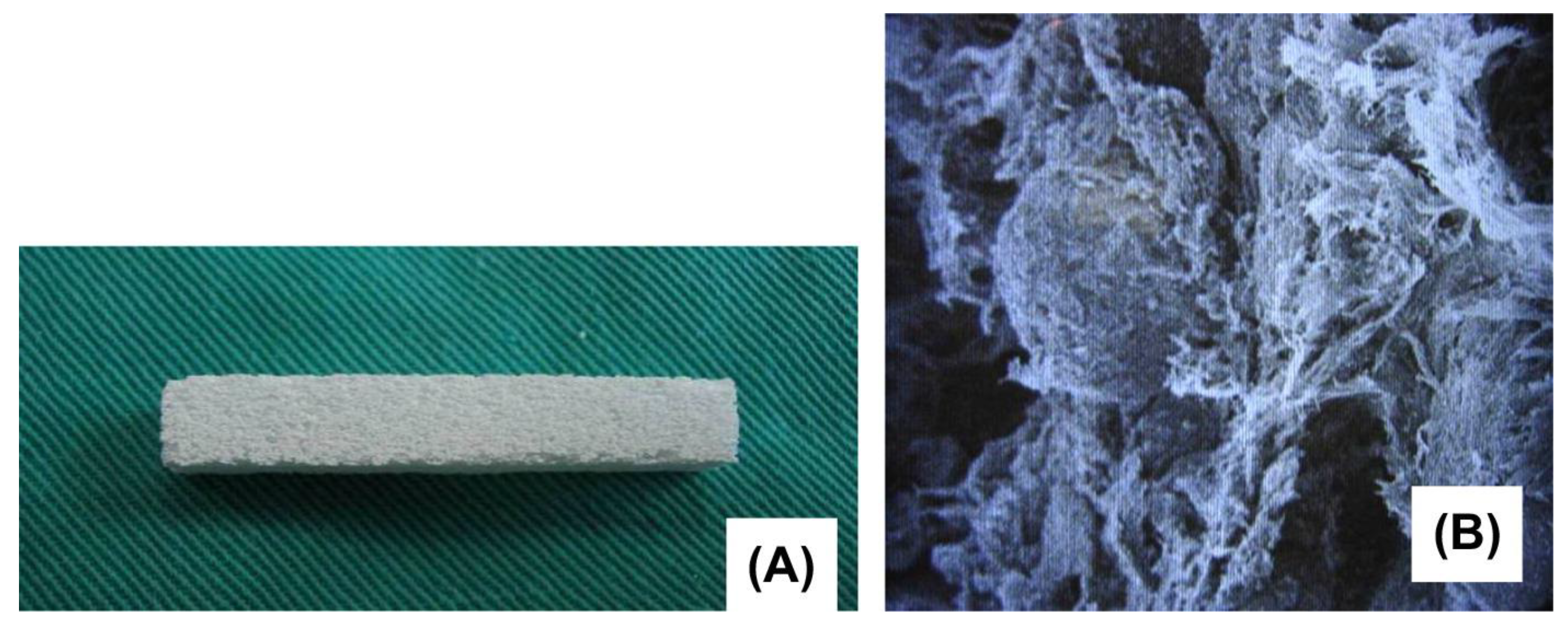 Biomimetics 09 00690 g005