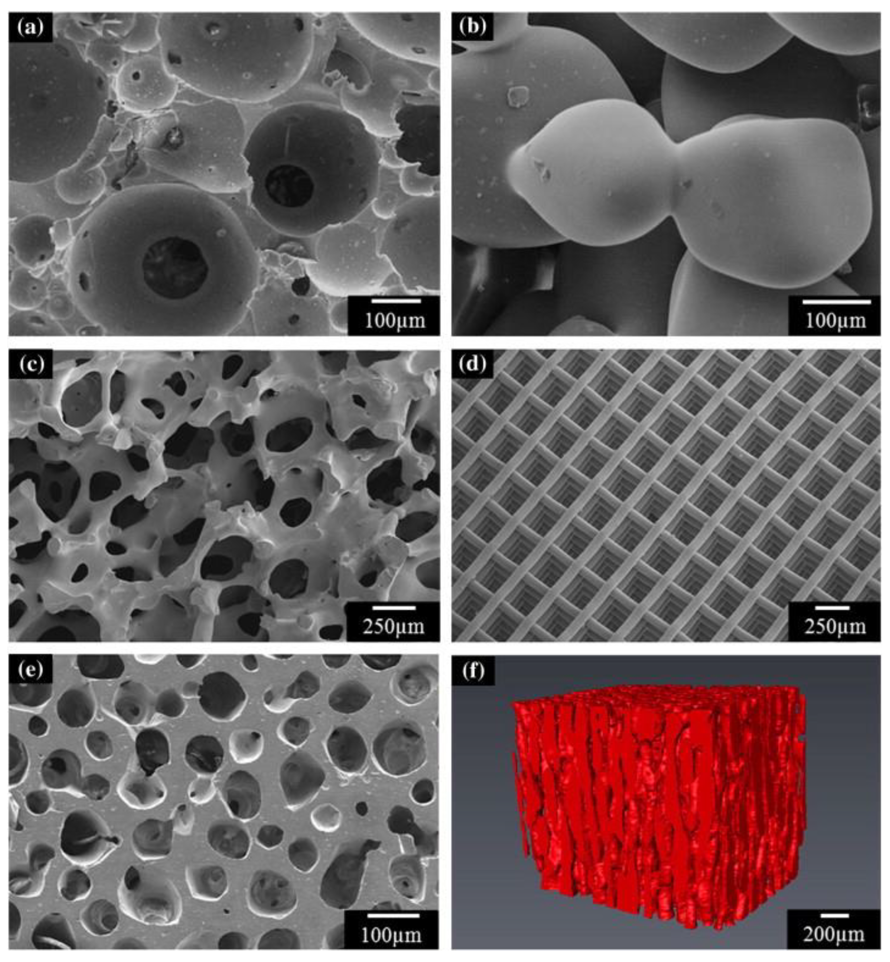 Biomimetics 09 00690 g009