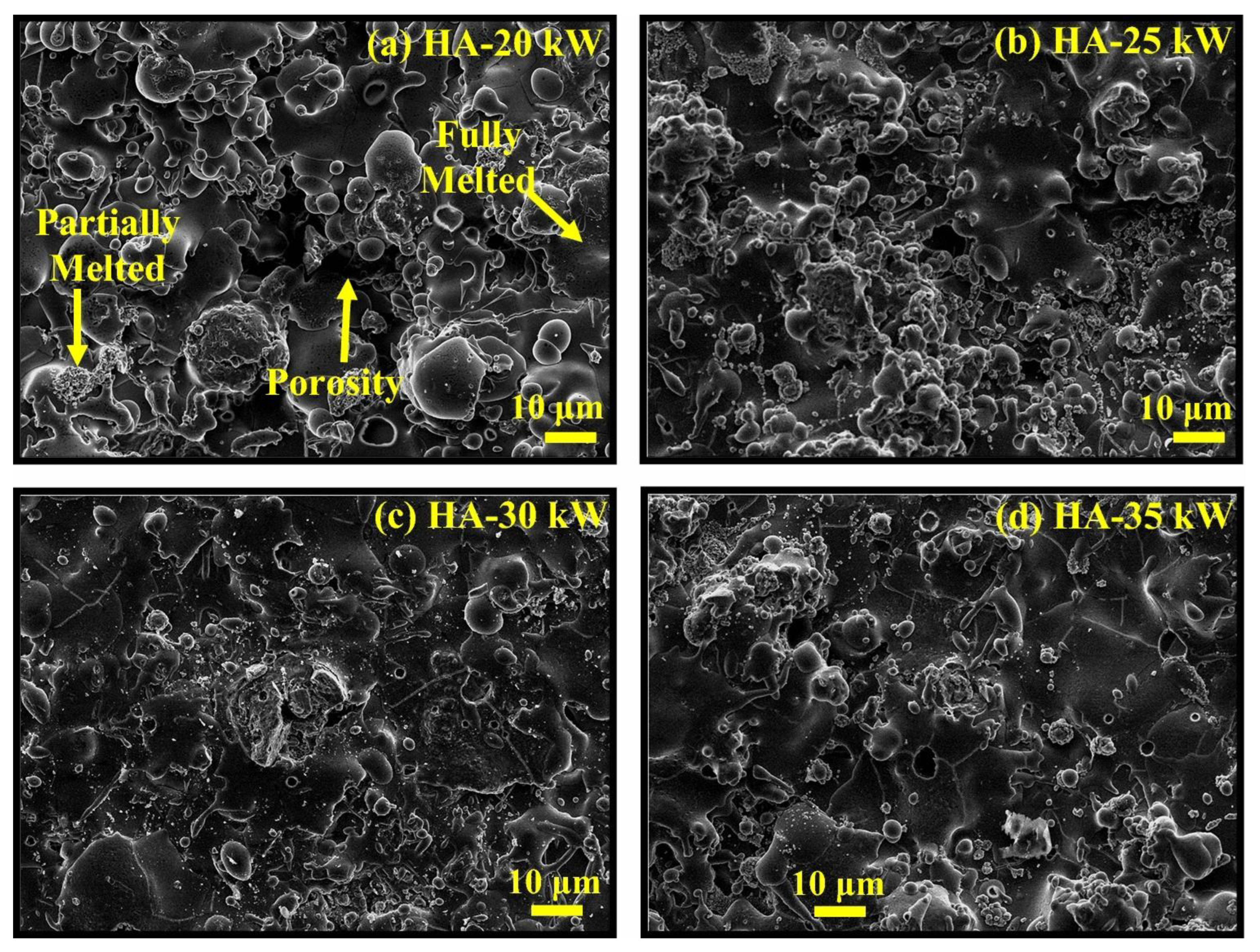 Biomimetics 09 00690 g010
