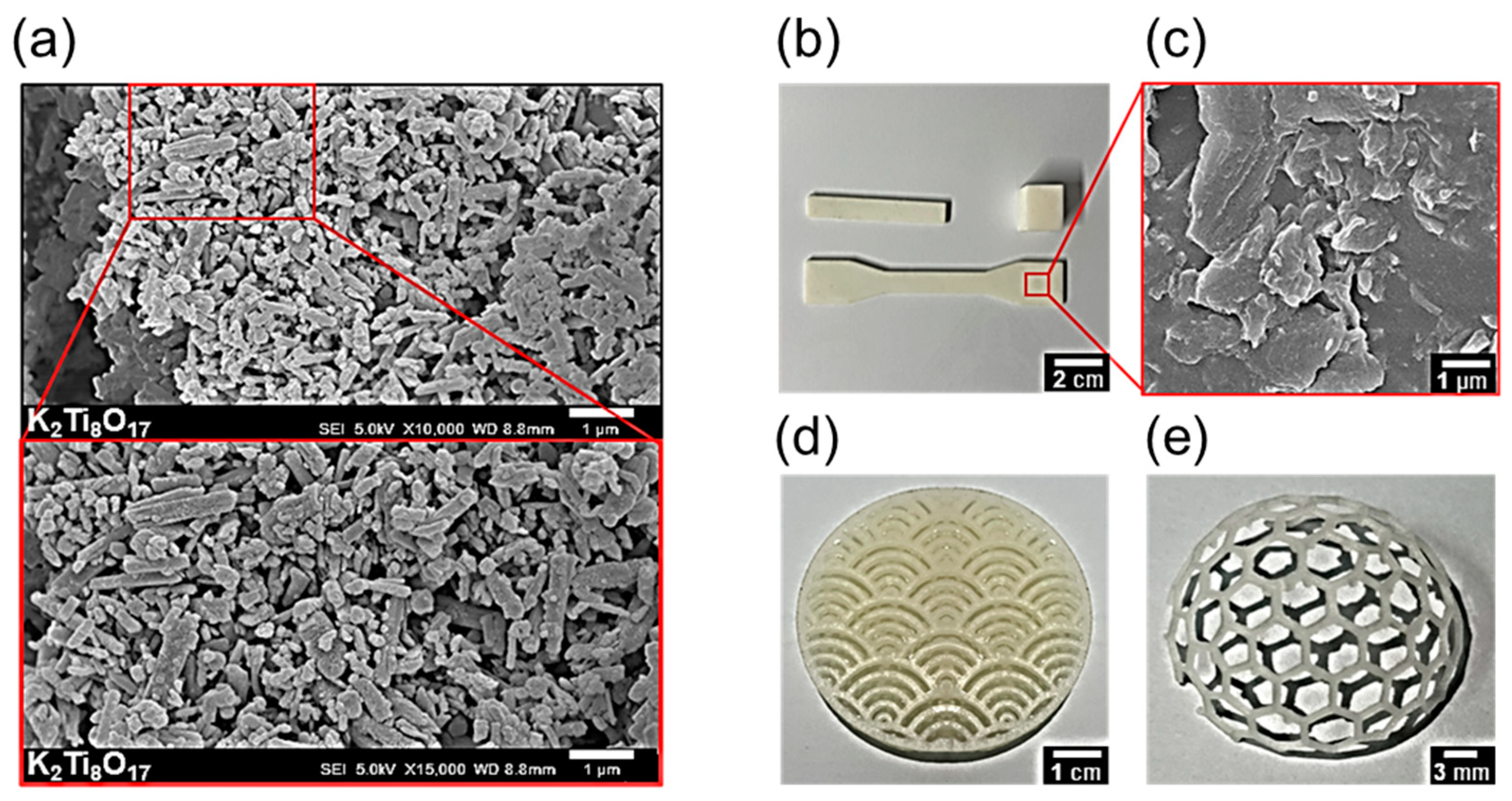 Biomimetics 09 00698 g002