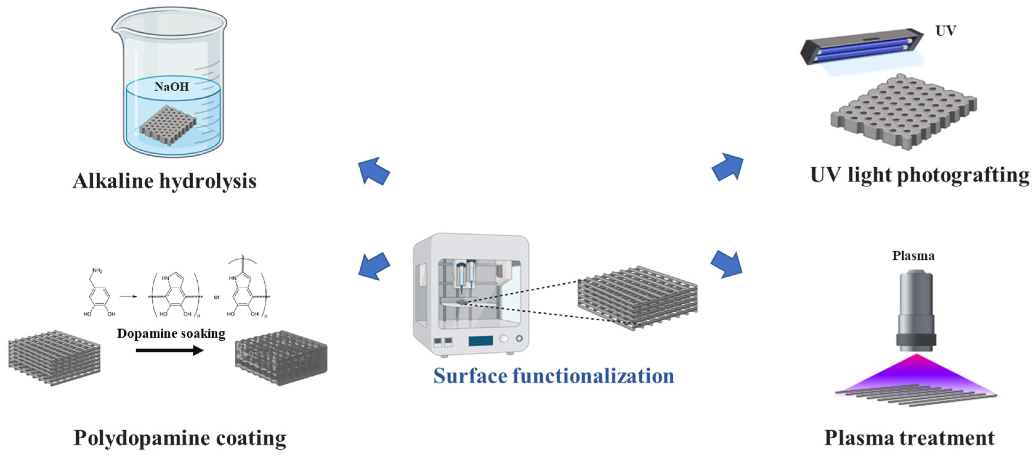 Biomimetics 09 00703 g001