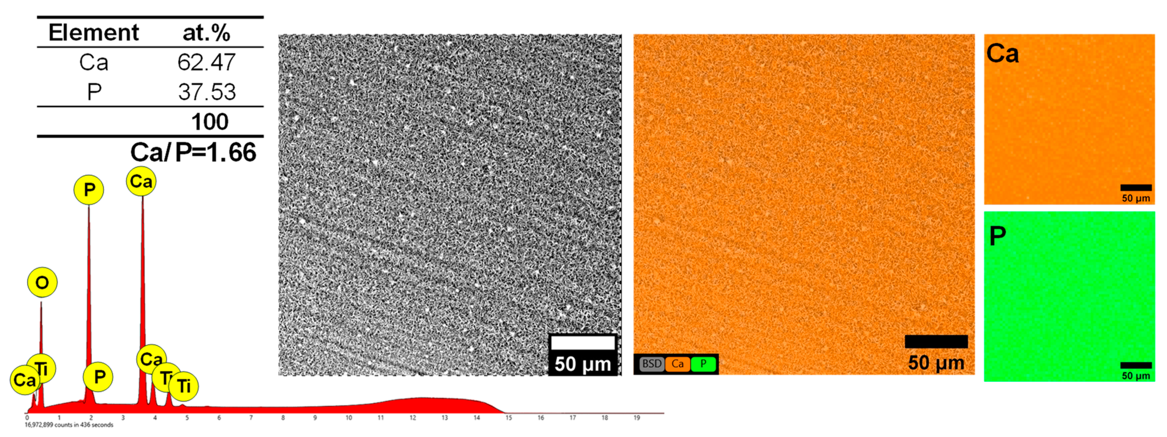 Biomimetics 09 00704 g002 Biomimetics 09 00704 g002