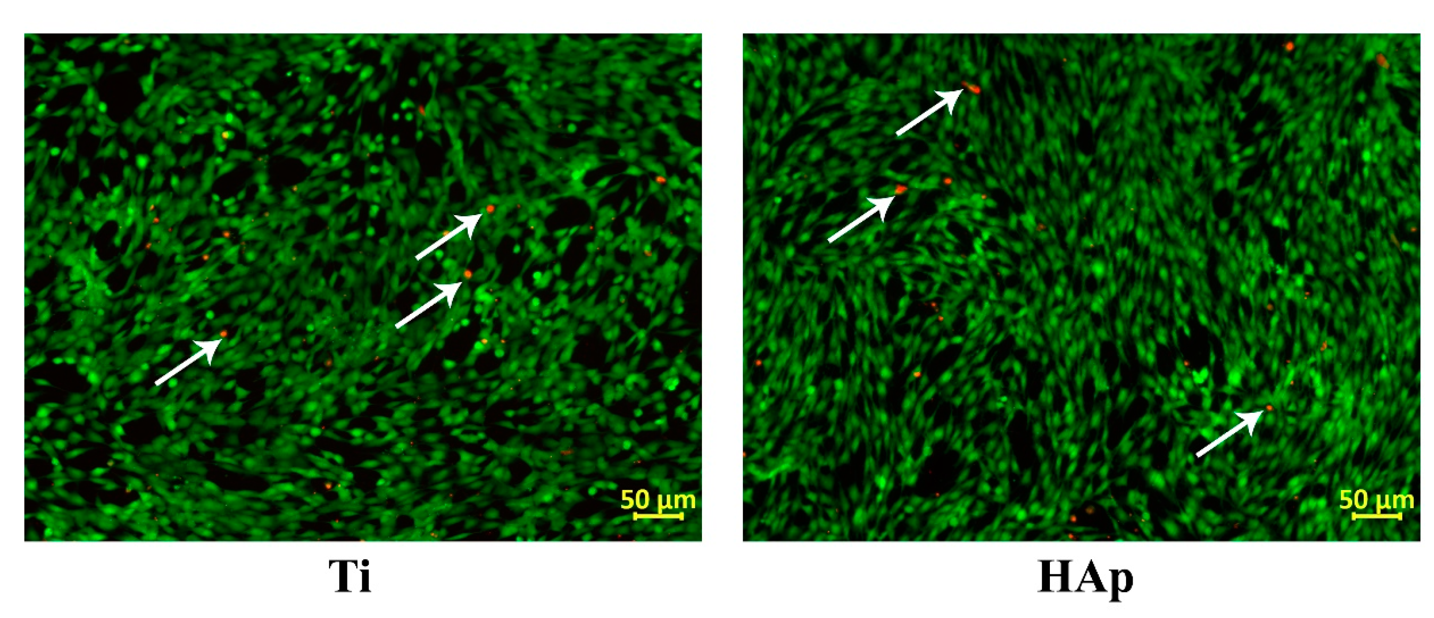 Biomimetics 09 00704 g008 Biomimetics 09 00704 g008