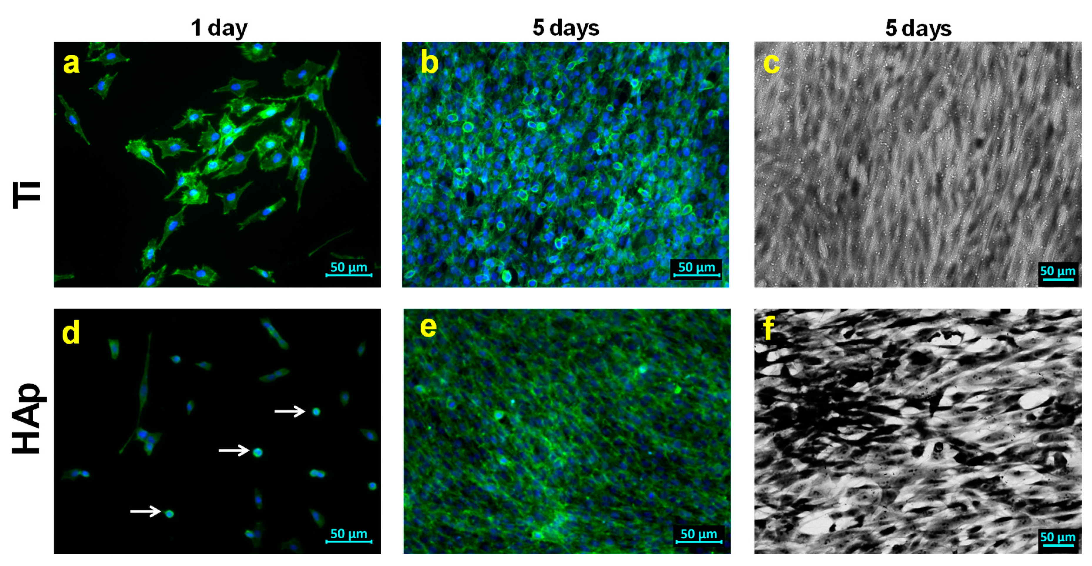 Biomimetics 09 00704 g010 Biomimetics 09 00704 g010