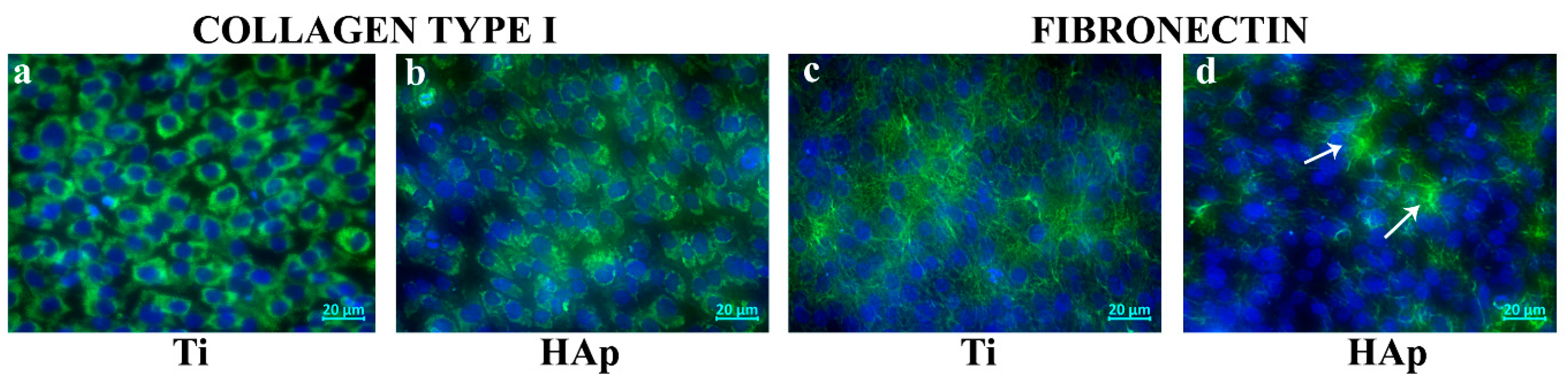 Biomimetics 09 00704 g011 Biomimetics 09 00704 g011