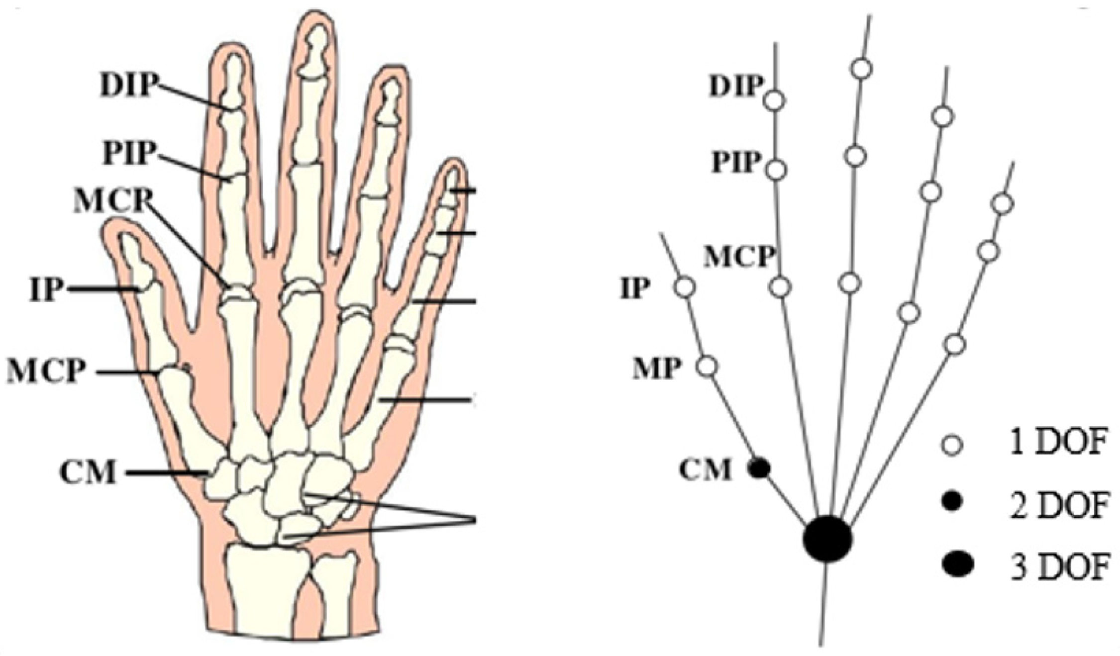 Biomimetics 09 00706 g001