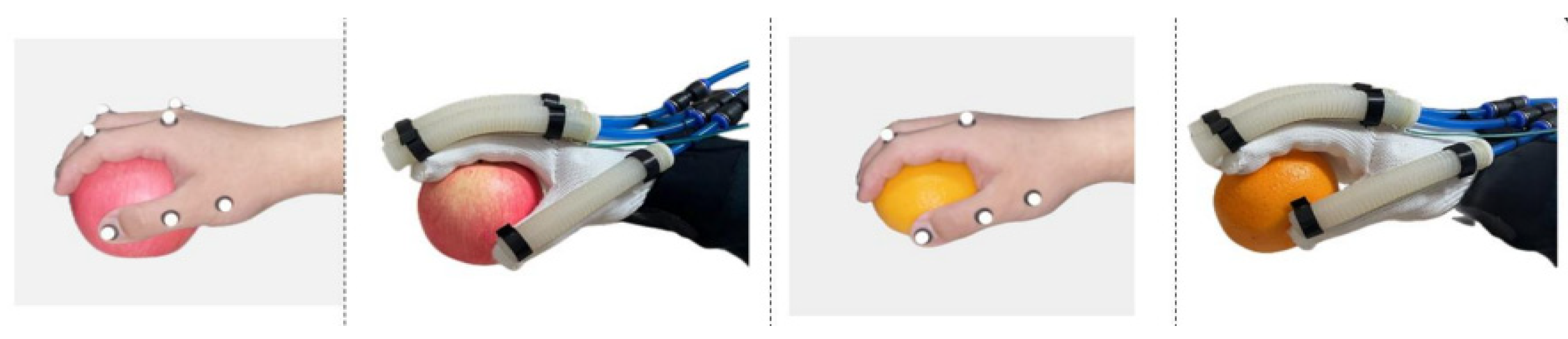 Biomimetics 09 00706 g020