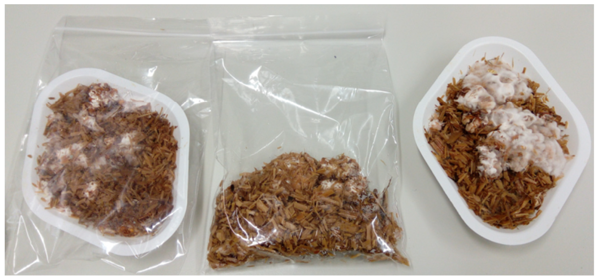 Biomimetics 09 00707 g002 Biomimetics 09 00707 g002