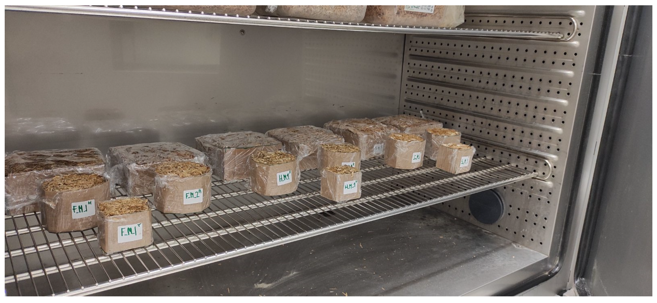 Biomimetics 09 00707 g004 Biomimetics 09 00707 g004