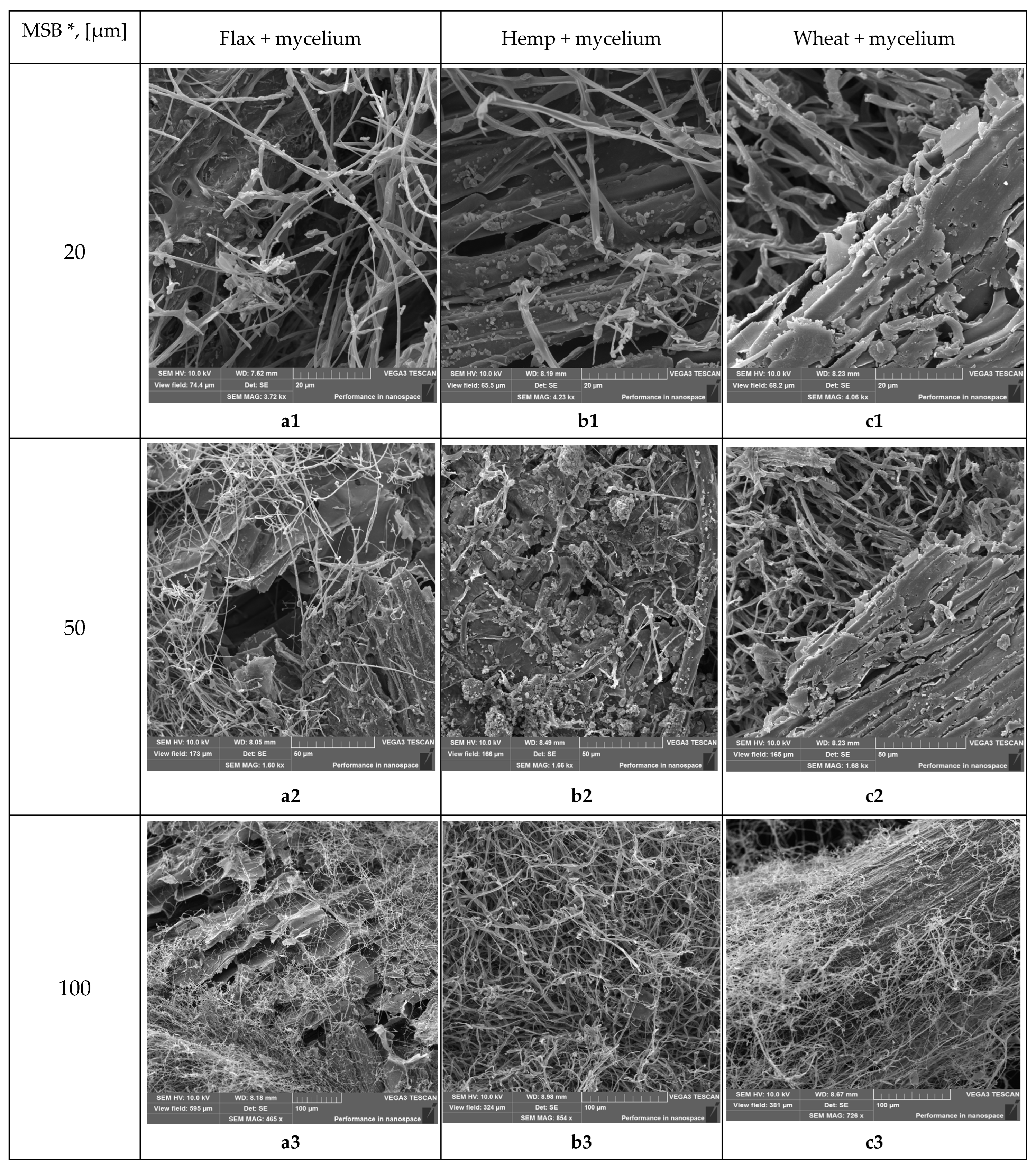 Biomimetics 09 00707 g010a Biomimetics 09 00707 g010a