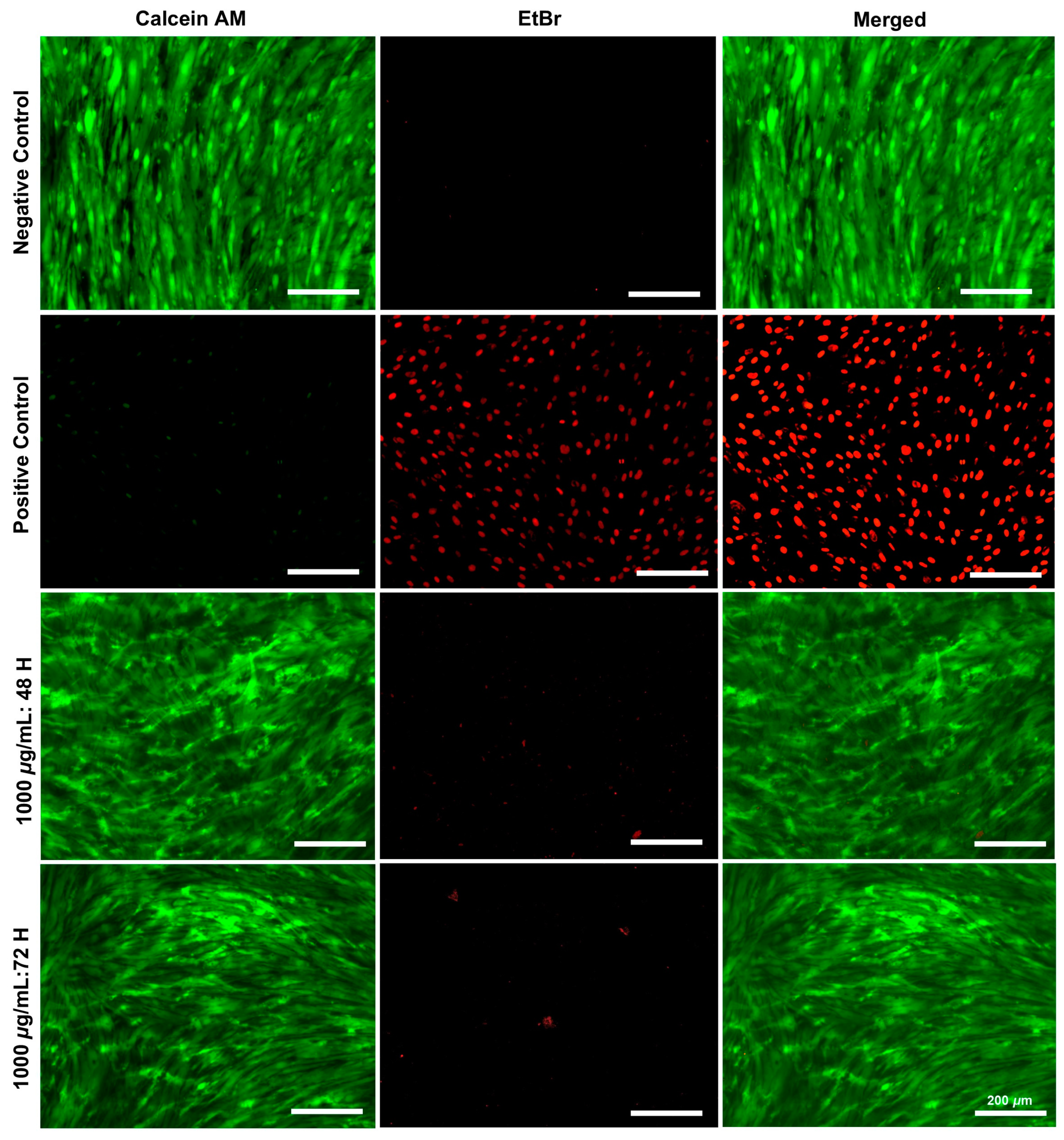 Biomimetics 09 00709 g002