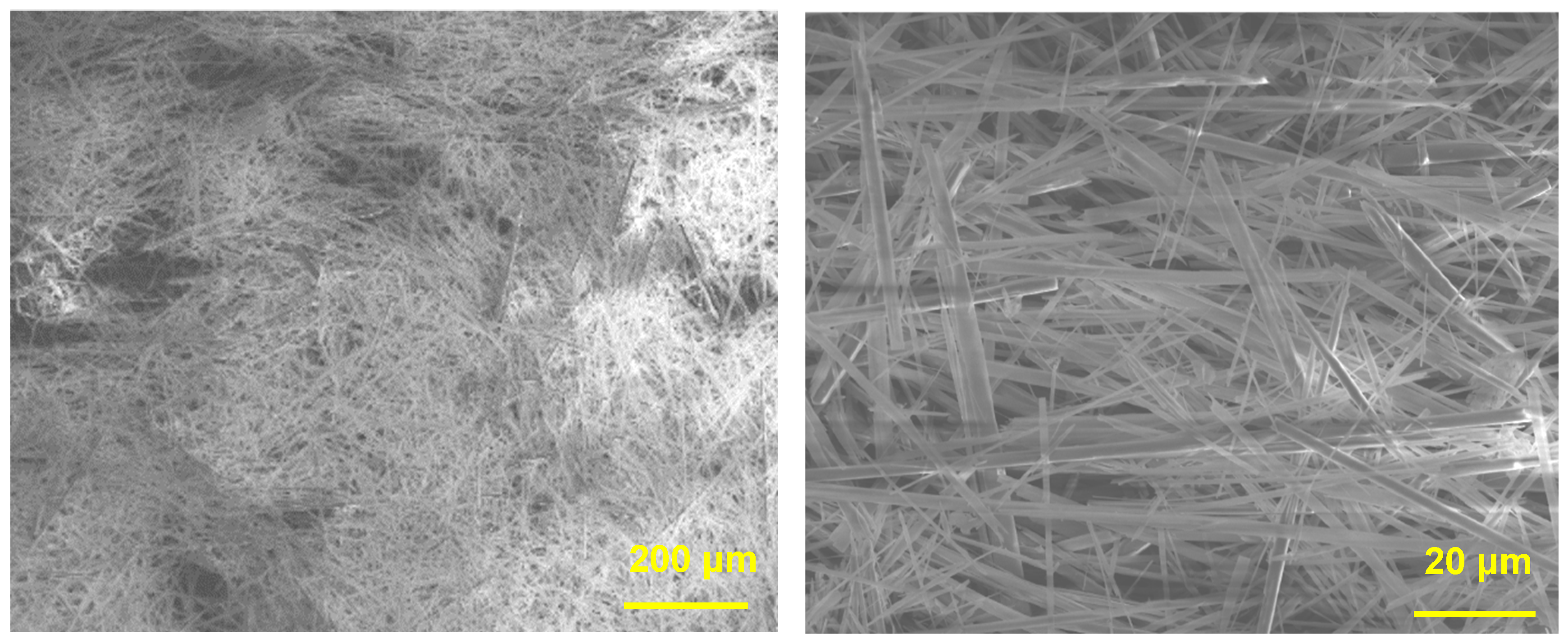 Biomimetics 09 00714 g001