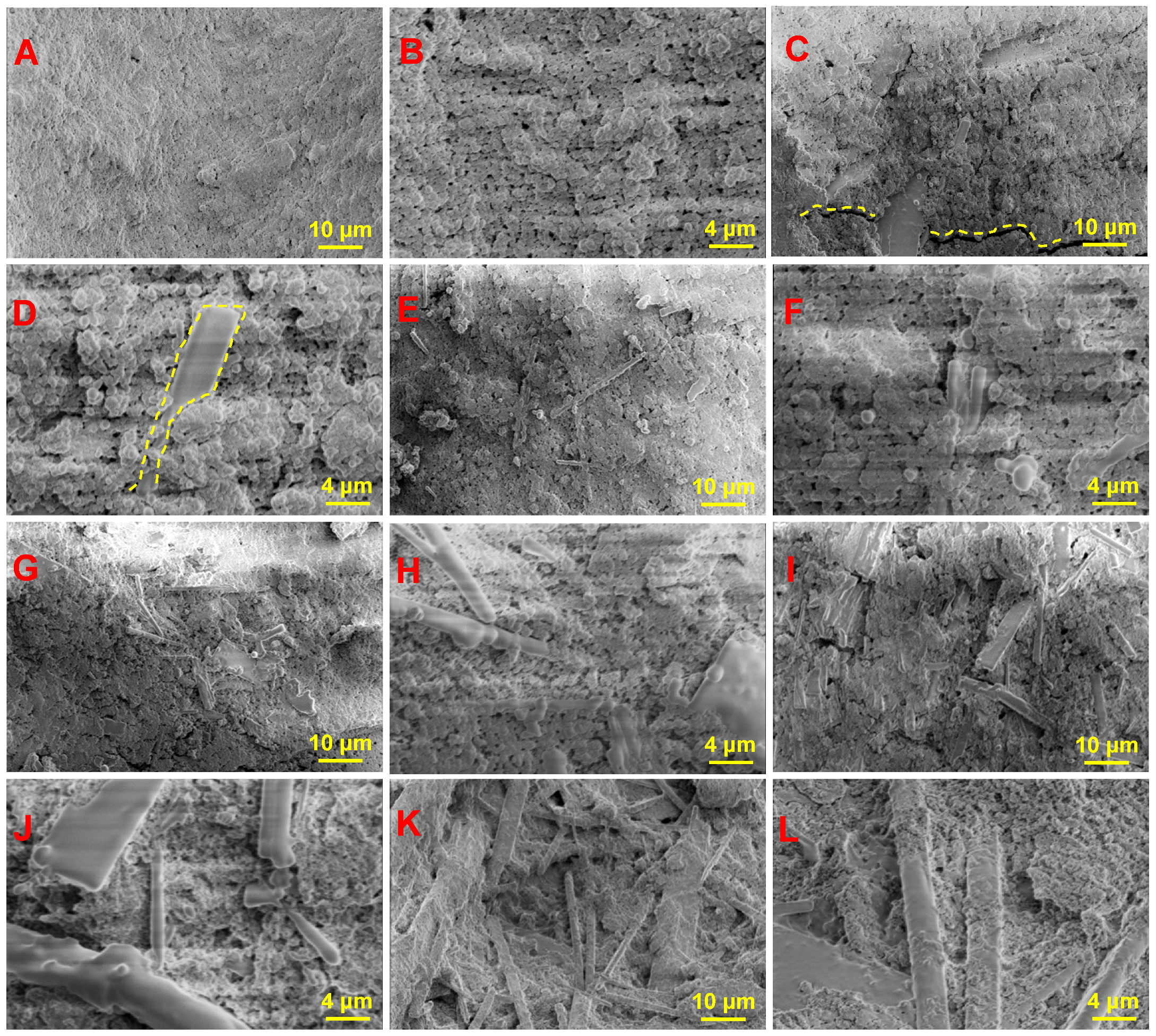 Biomimetics 09 00714 g004