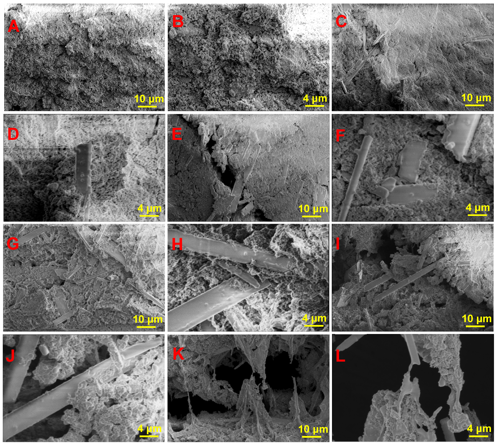 Biomimetics 09 00714 g006