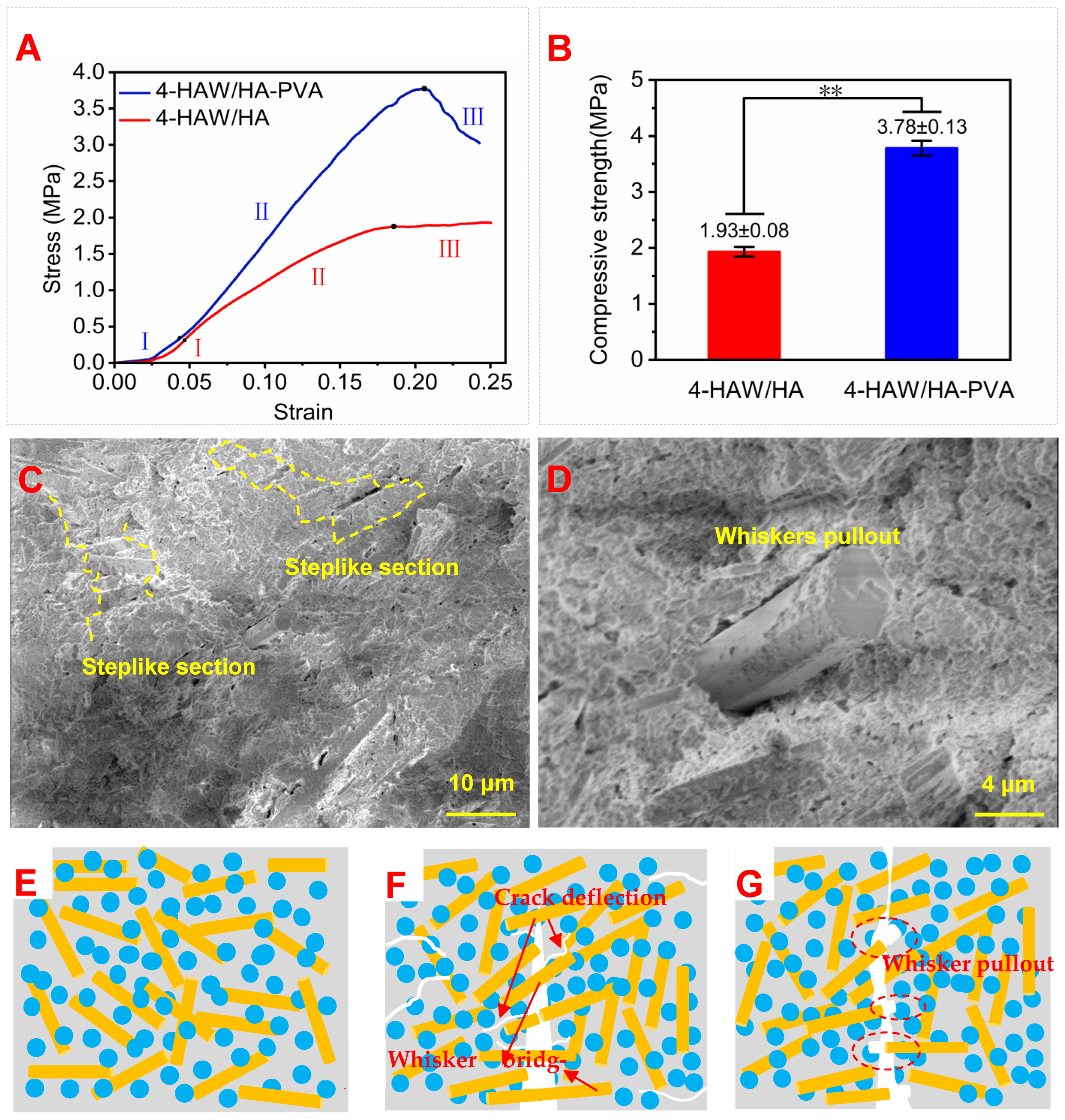 Biomimetics 09 00714 g009