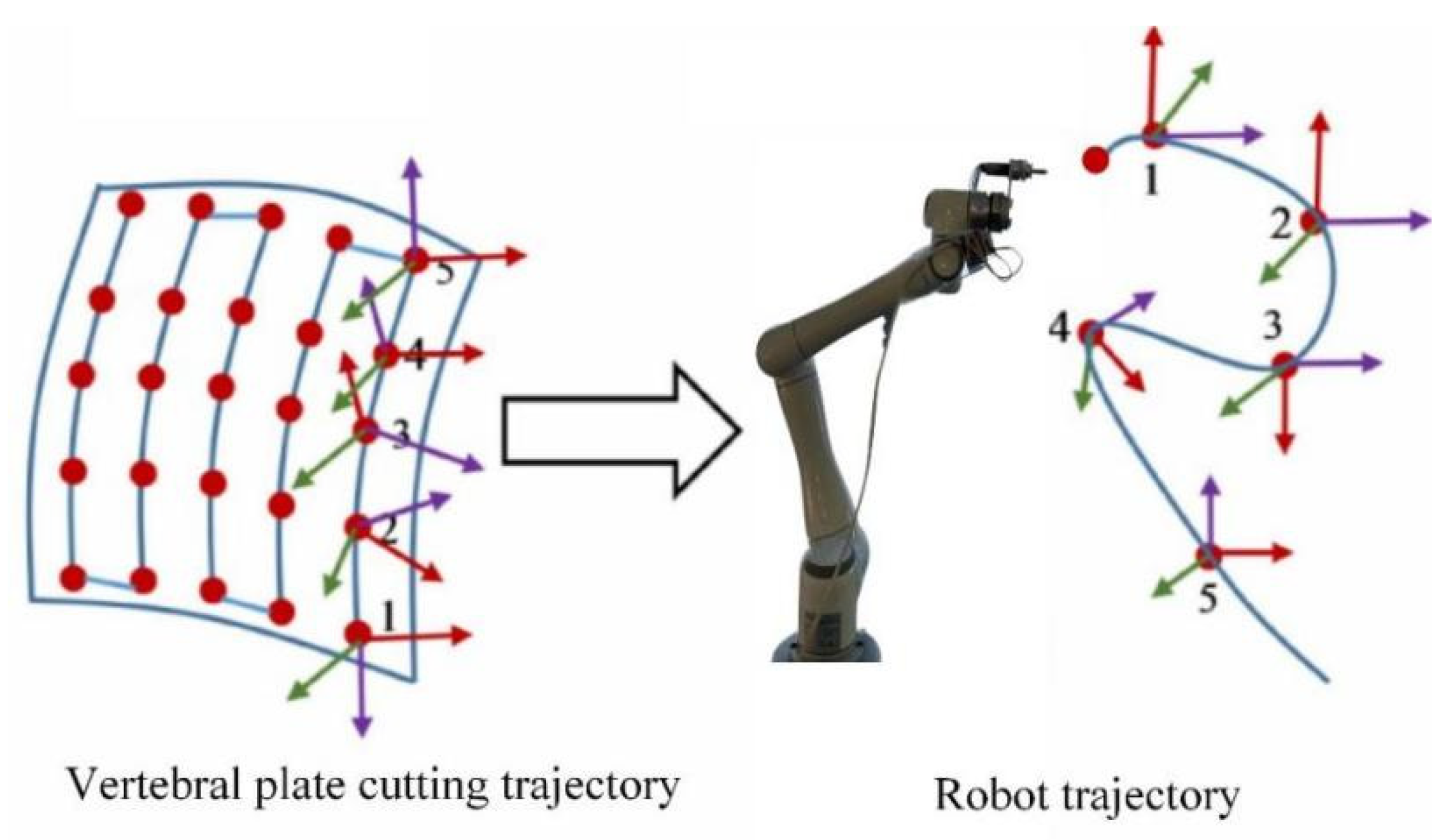 Biomimetics 09 00719 g007