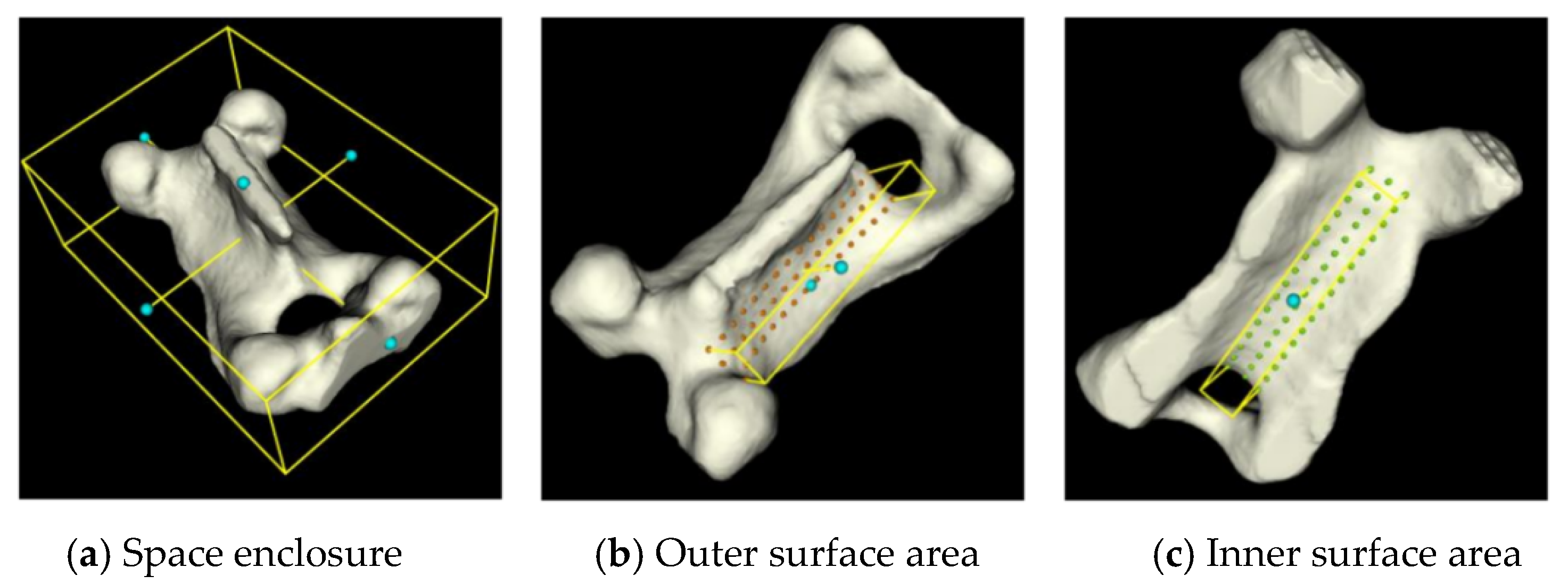 Biomimetics 09 00719 g008