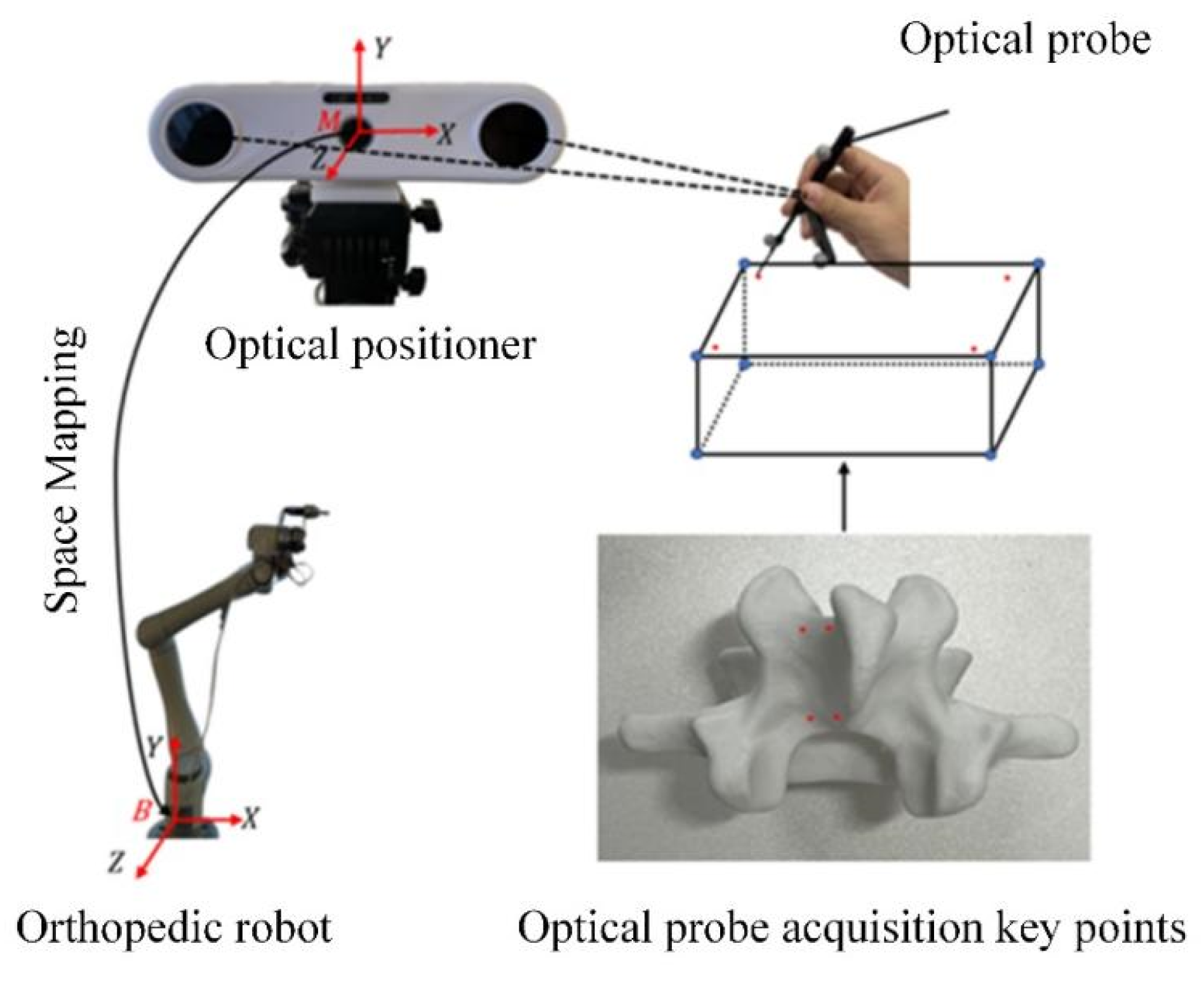Biomimetics 09 00719 g015